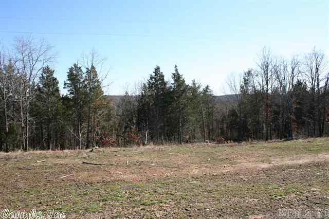 3795 Donnell Ridge Road  Conway, AR