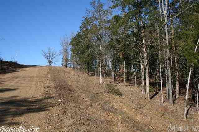 3795 Donnell Ridge Road  Conway, AR