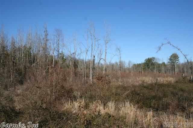 3795 Donnell Ridge Road  Conway, AR