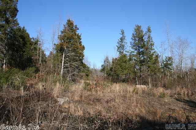 3795 Donnell Ridge Road  Conway, AR