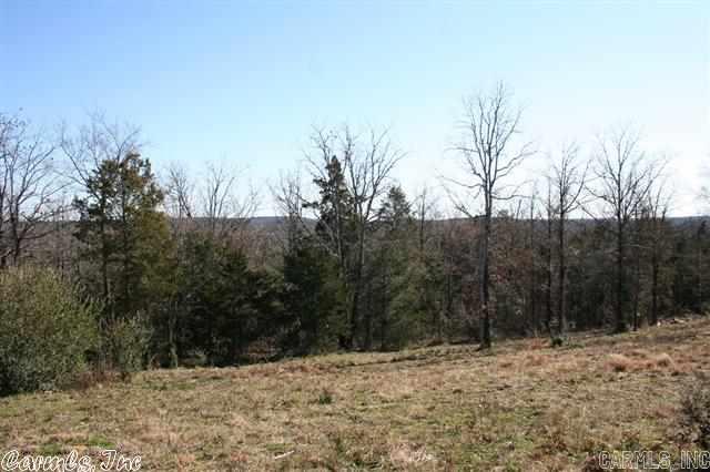 3795 Donnell Ridge Road  Conway, AR