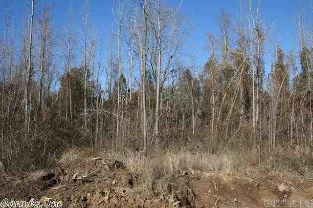 3825 Donnell Ridge Road  Conway, AR