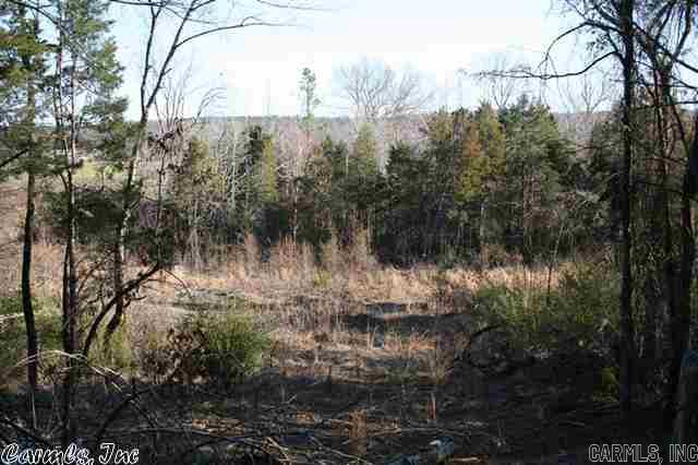 3825 Donnell Ridge Road  Conway, AR