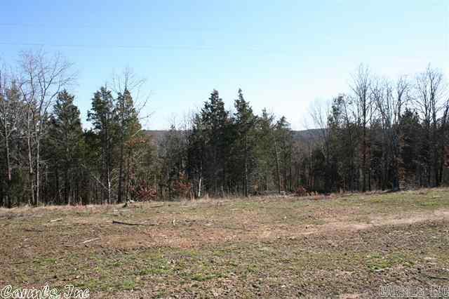 3825 Donnell Ridge Road  Conway, AR