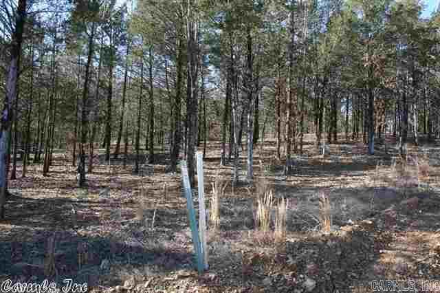 3825 Donnell Ridge Road  Conway, AR