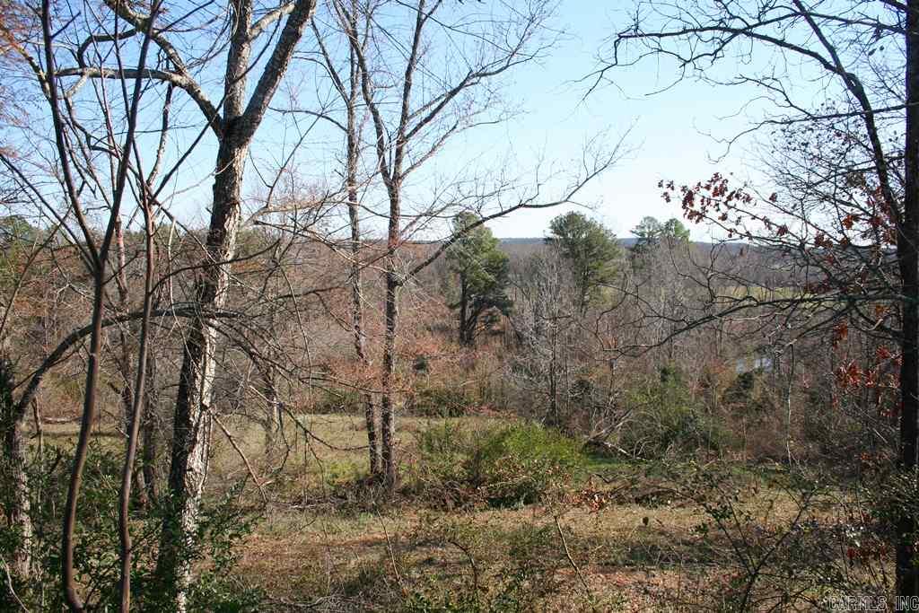 3765 Donnell Ridge Road  Conway, AR