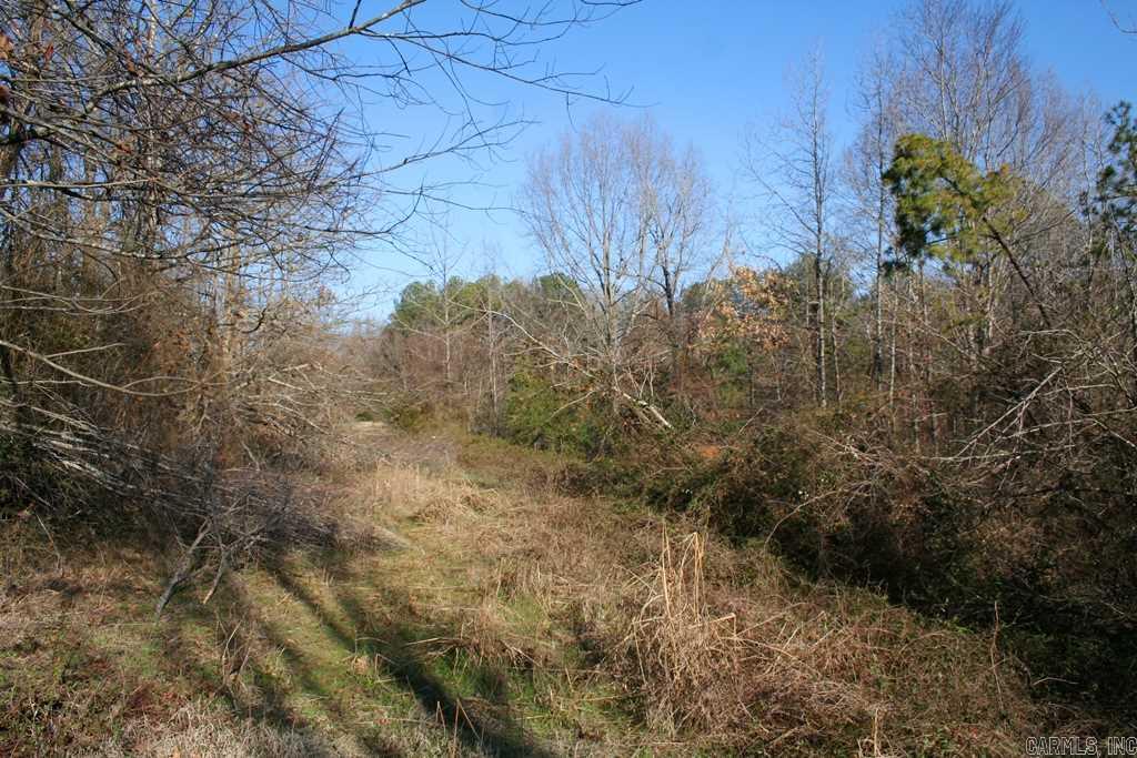 3765 Donnell Ridge Road  Conway, AR