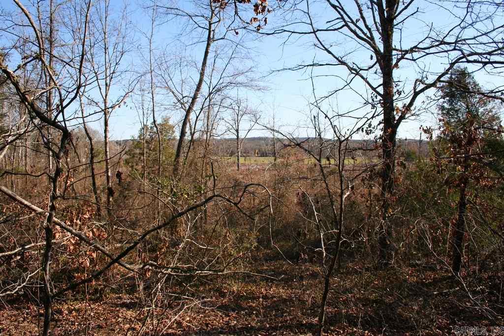 3765 Donnell Ridge Road  Conway, AR