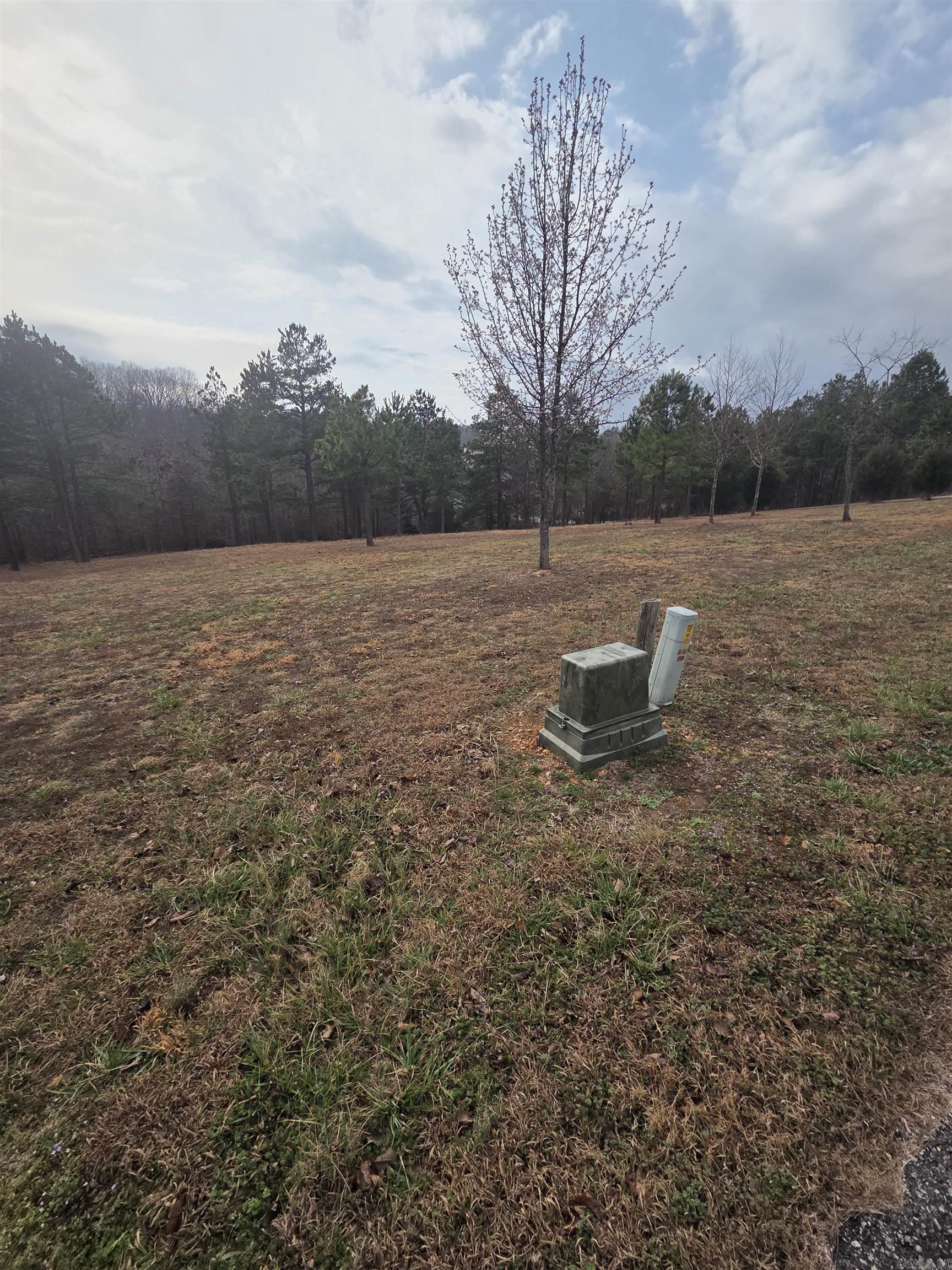 000 Tournament  Mountain View, AR