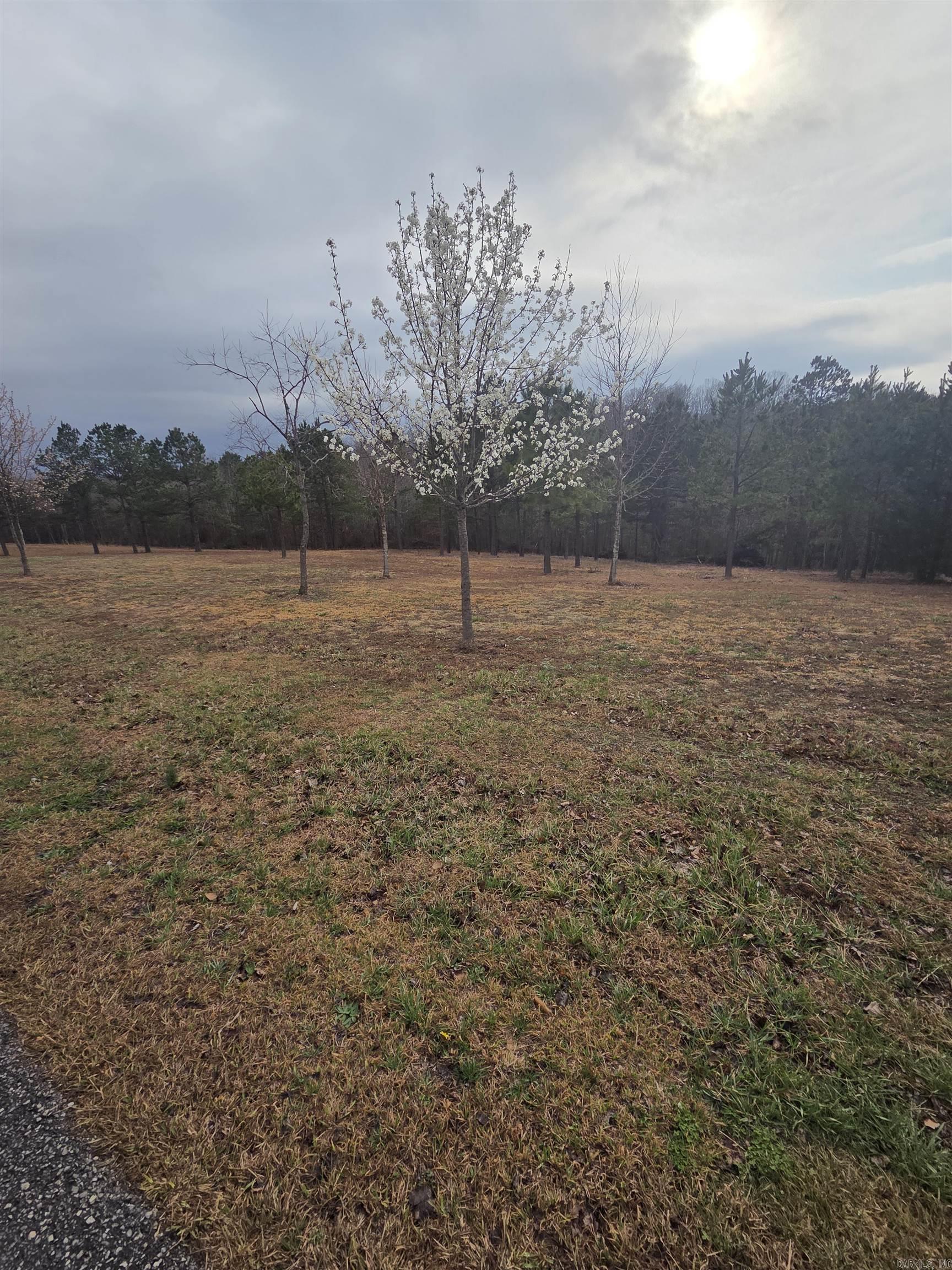 000 Tournament  Mountain View, AR