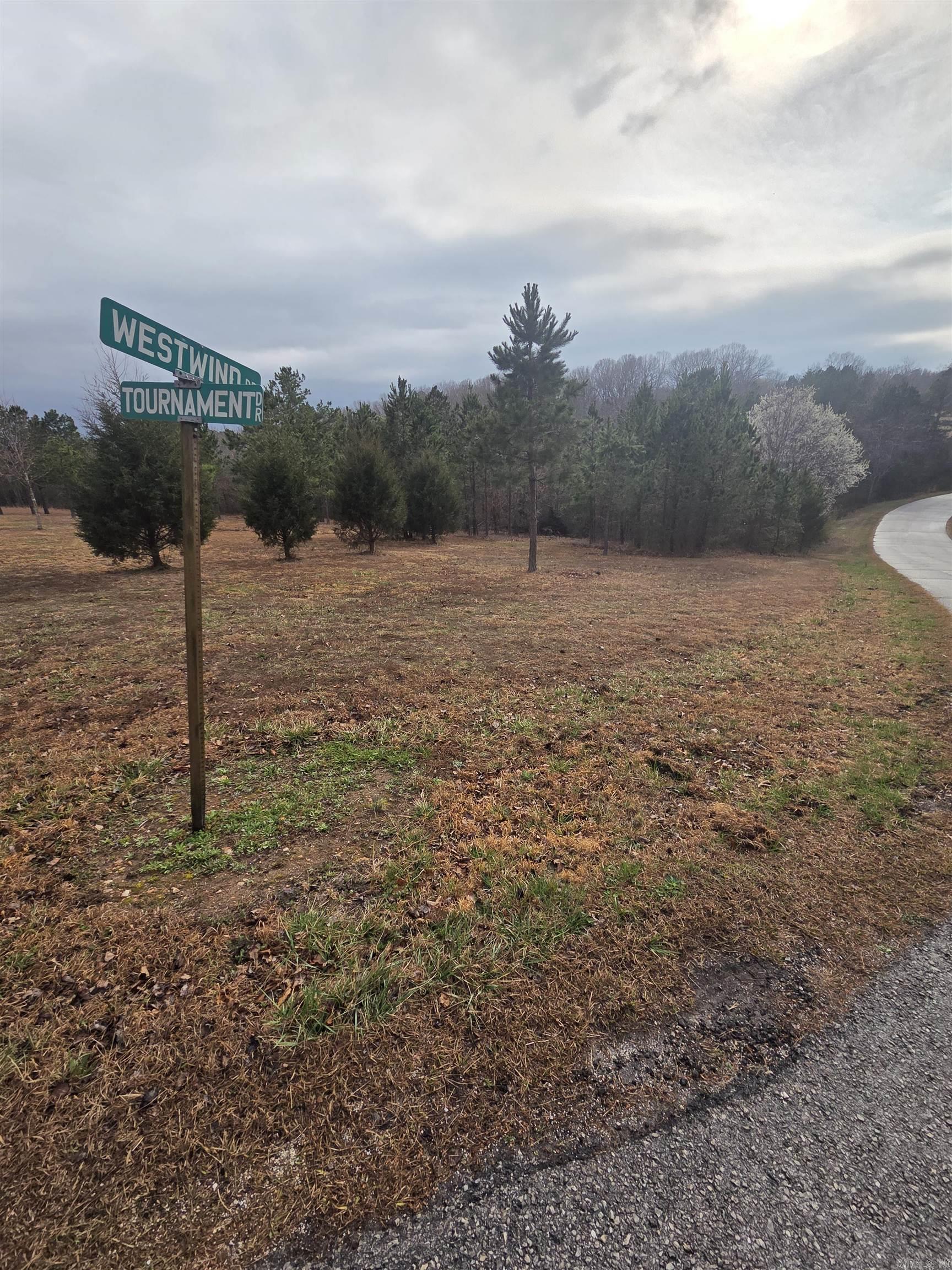 000 Tournament  Mountain View, AR