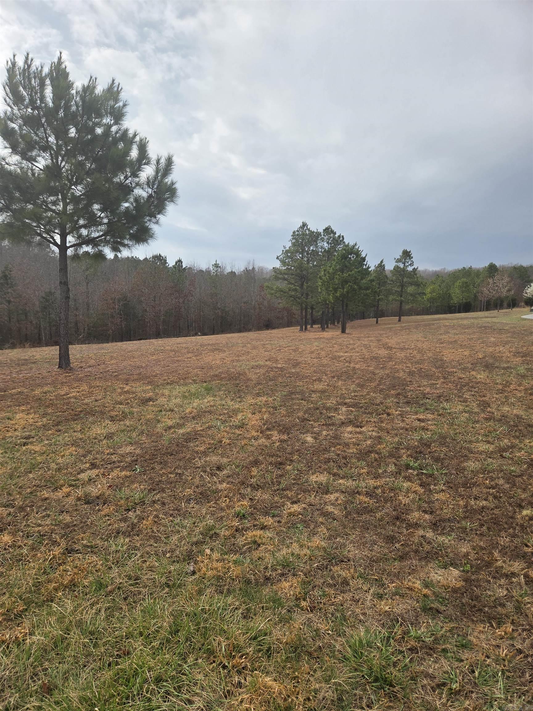 000 Tournament  Mountain View, AR