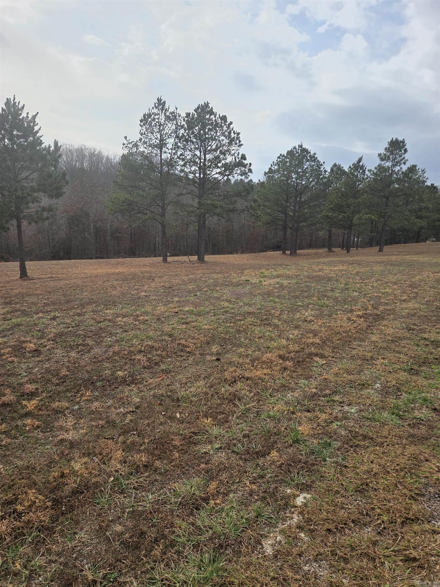 000 Tournament  Mountain View, AR