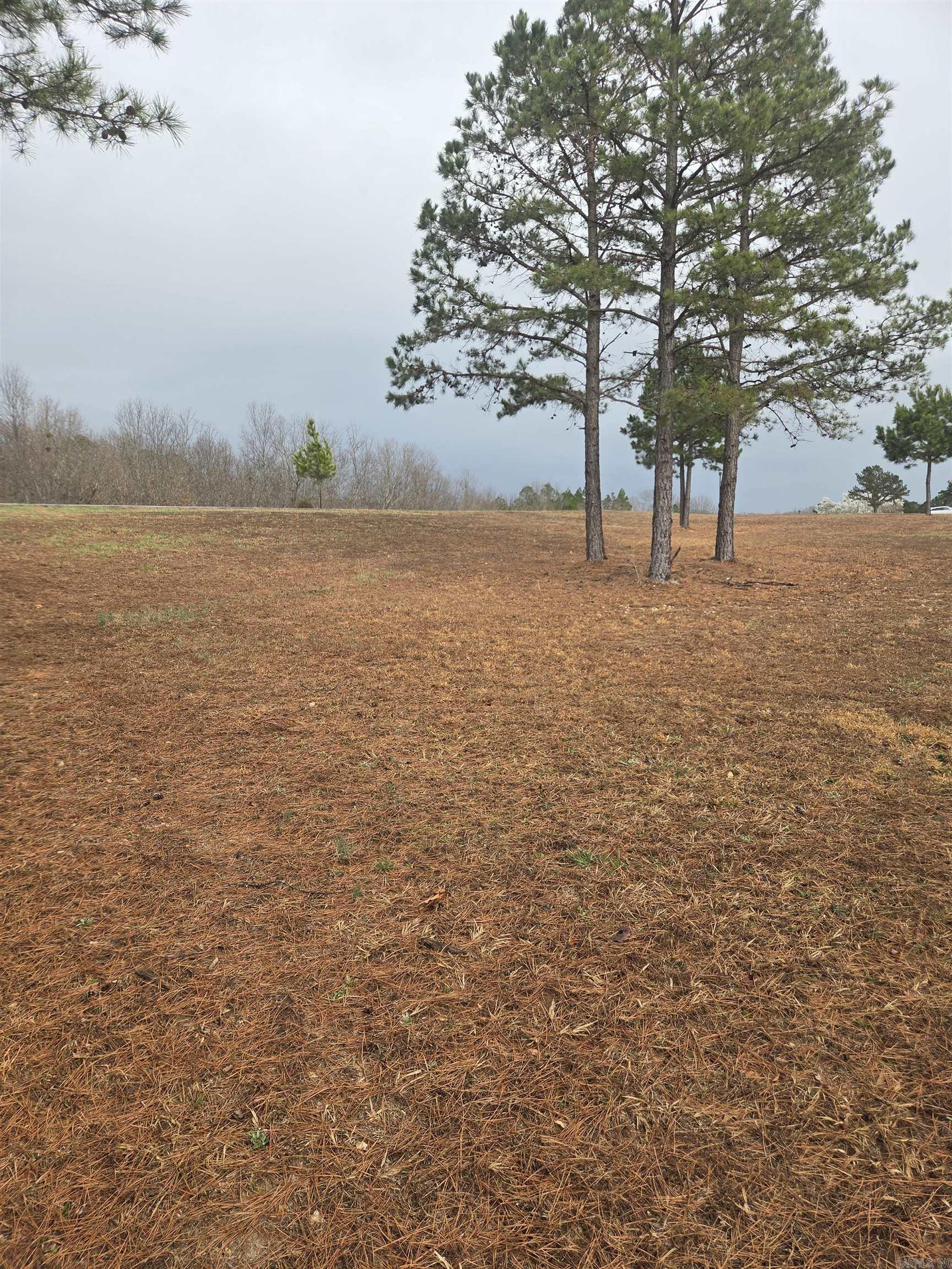 000 Tournament  Mountain View, AR