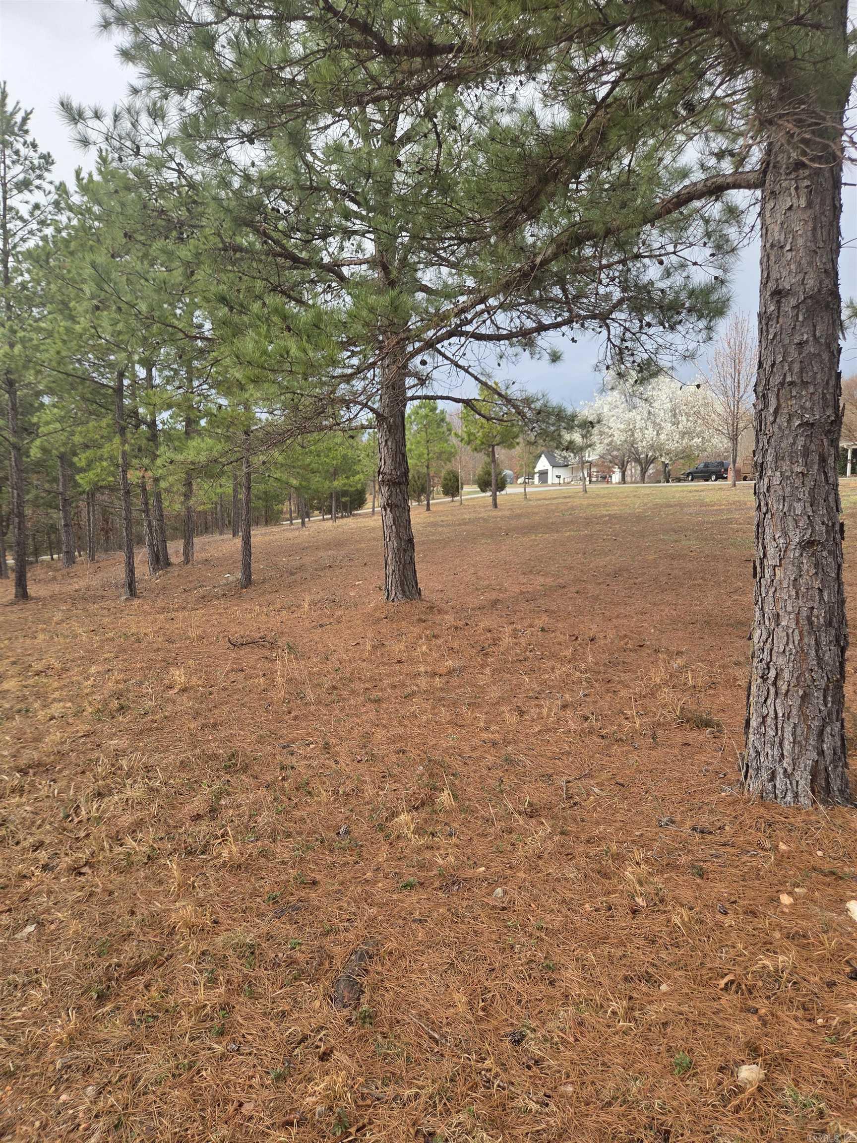 000 Tournament  Mountain View, AR