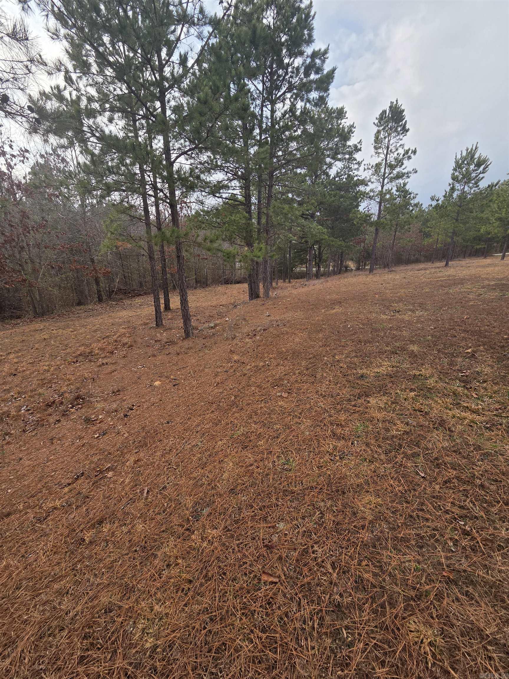 000 Tournament  Mountain View, AR