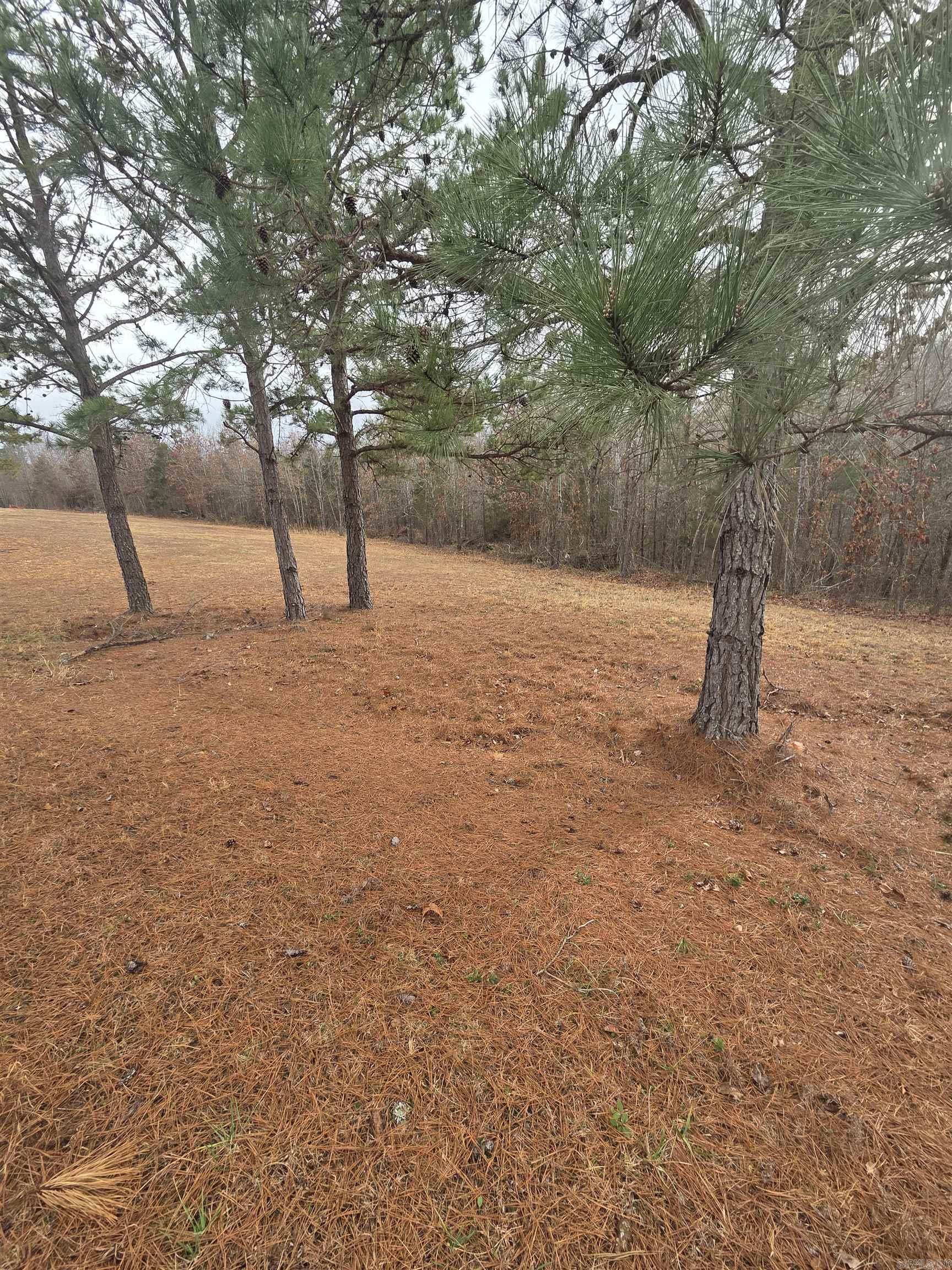 000 Tournament  Mountain View, AR