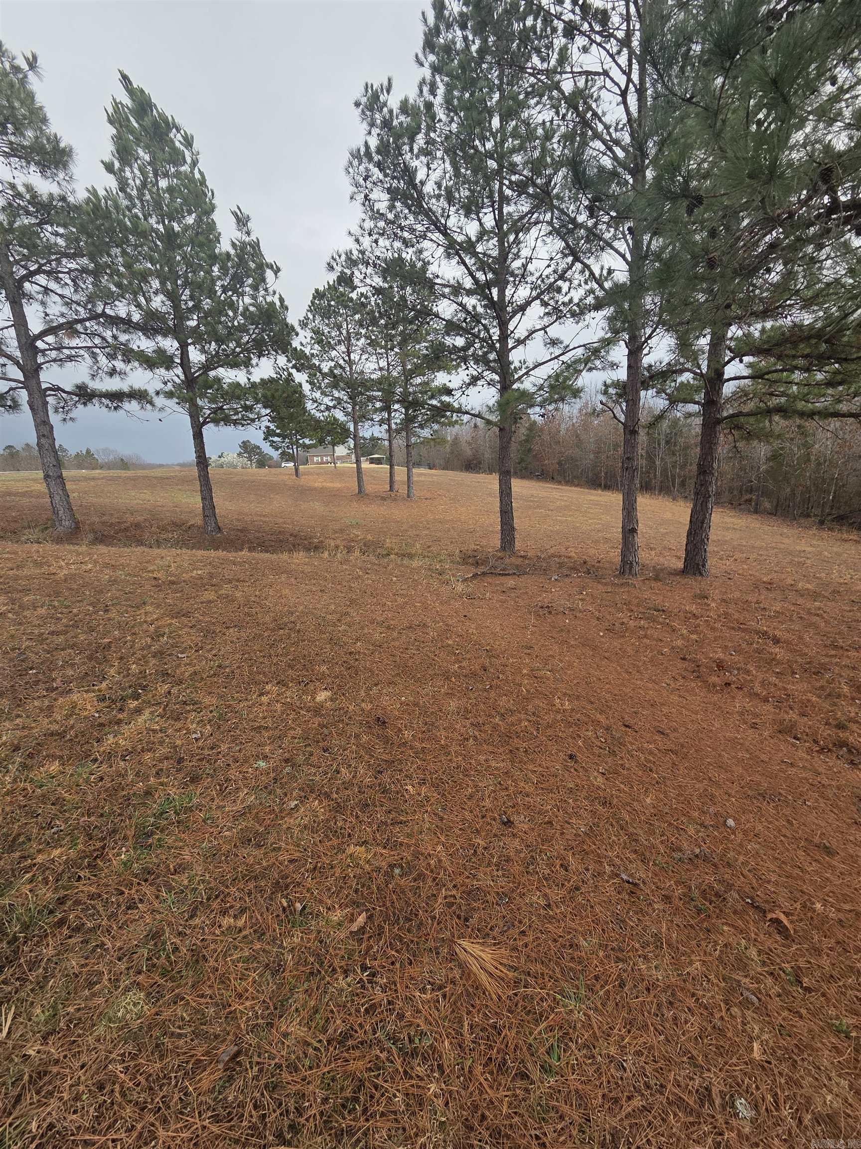 000 Tournament  Mountain View, AR