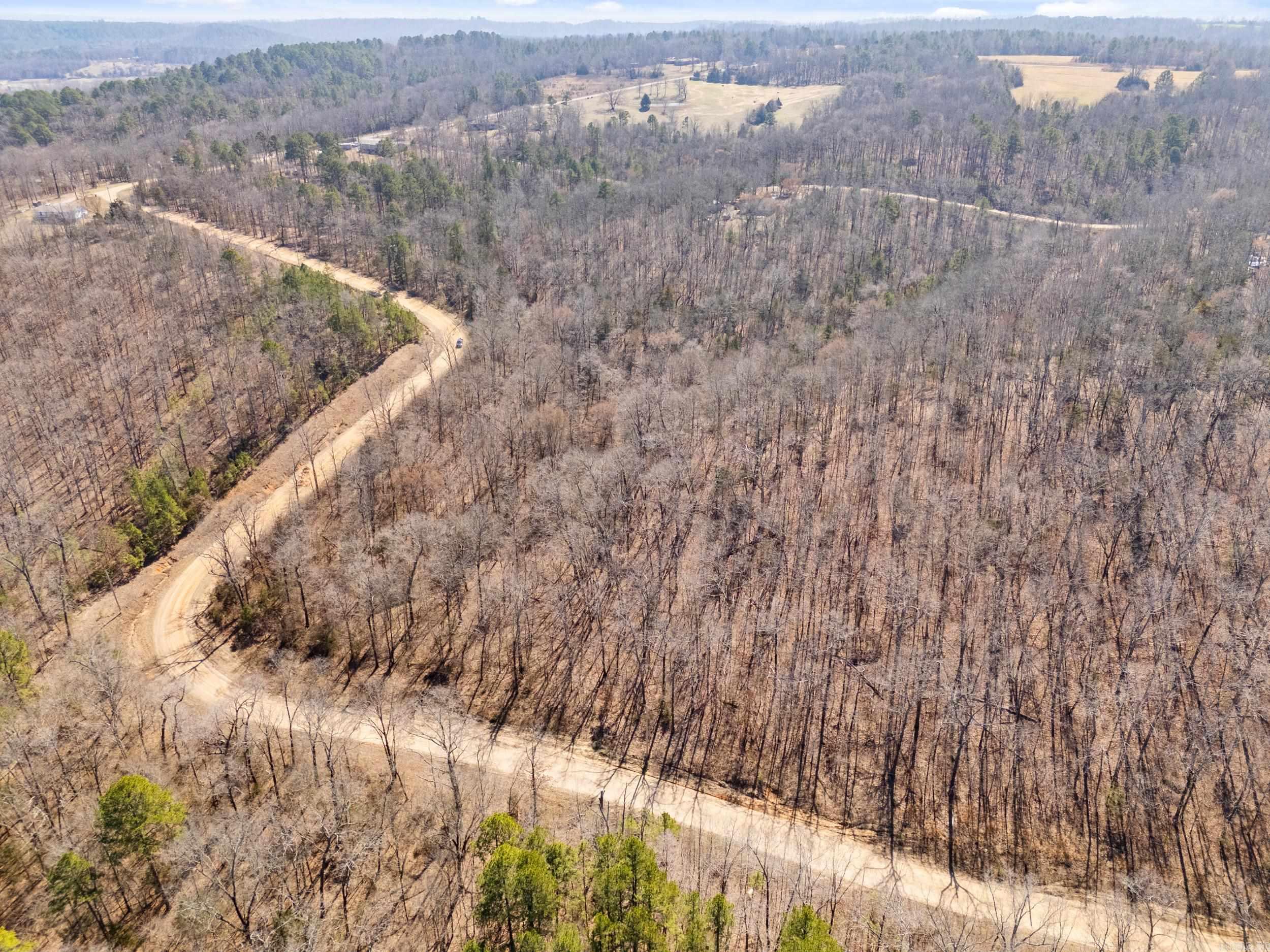 00 Anna Marie  Springfield, AR