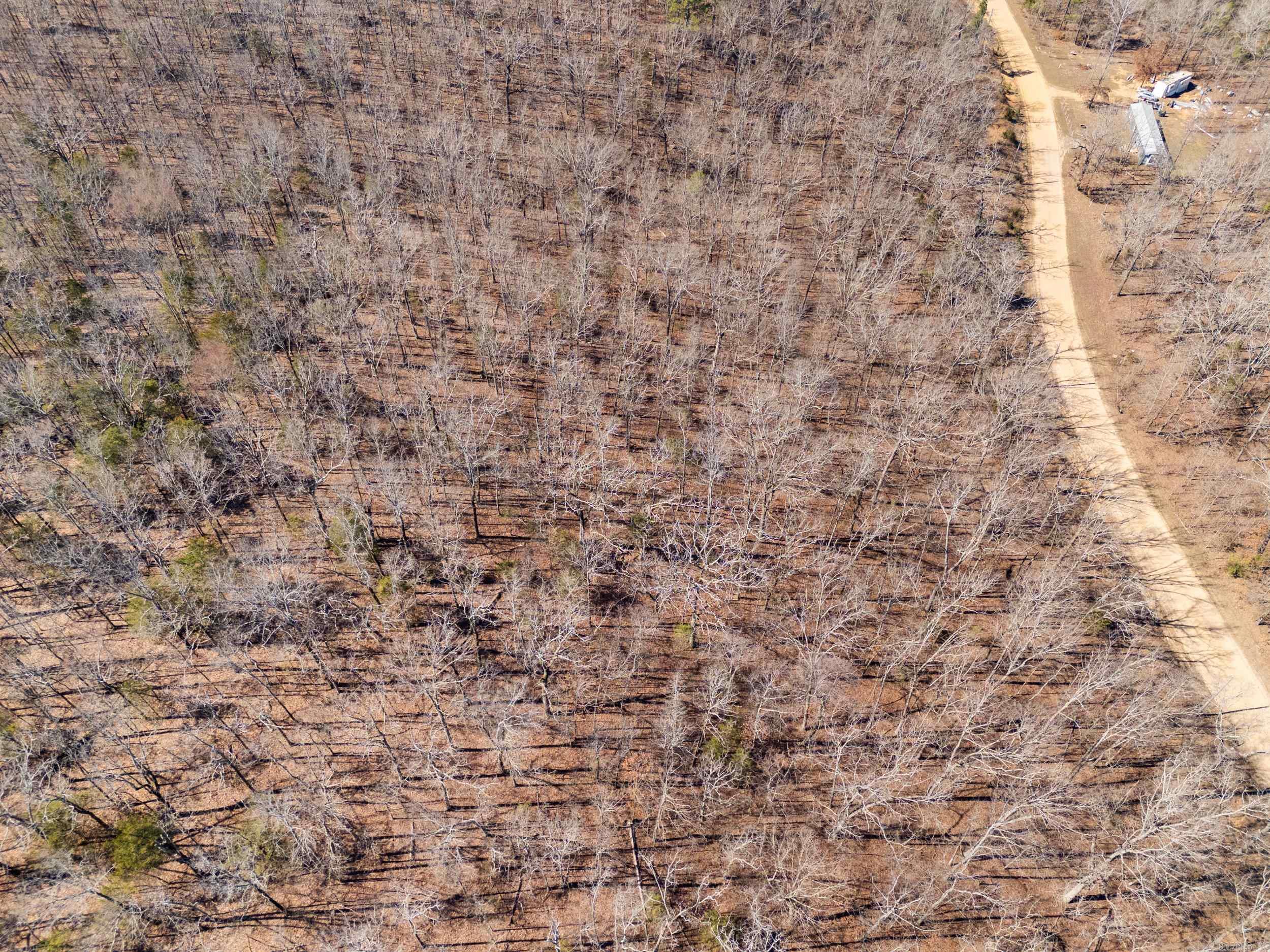 00 Anna Marie  Springfield, AR