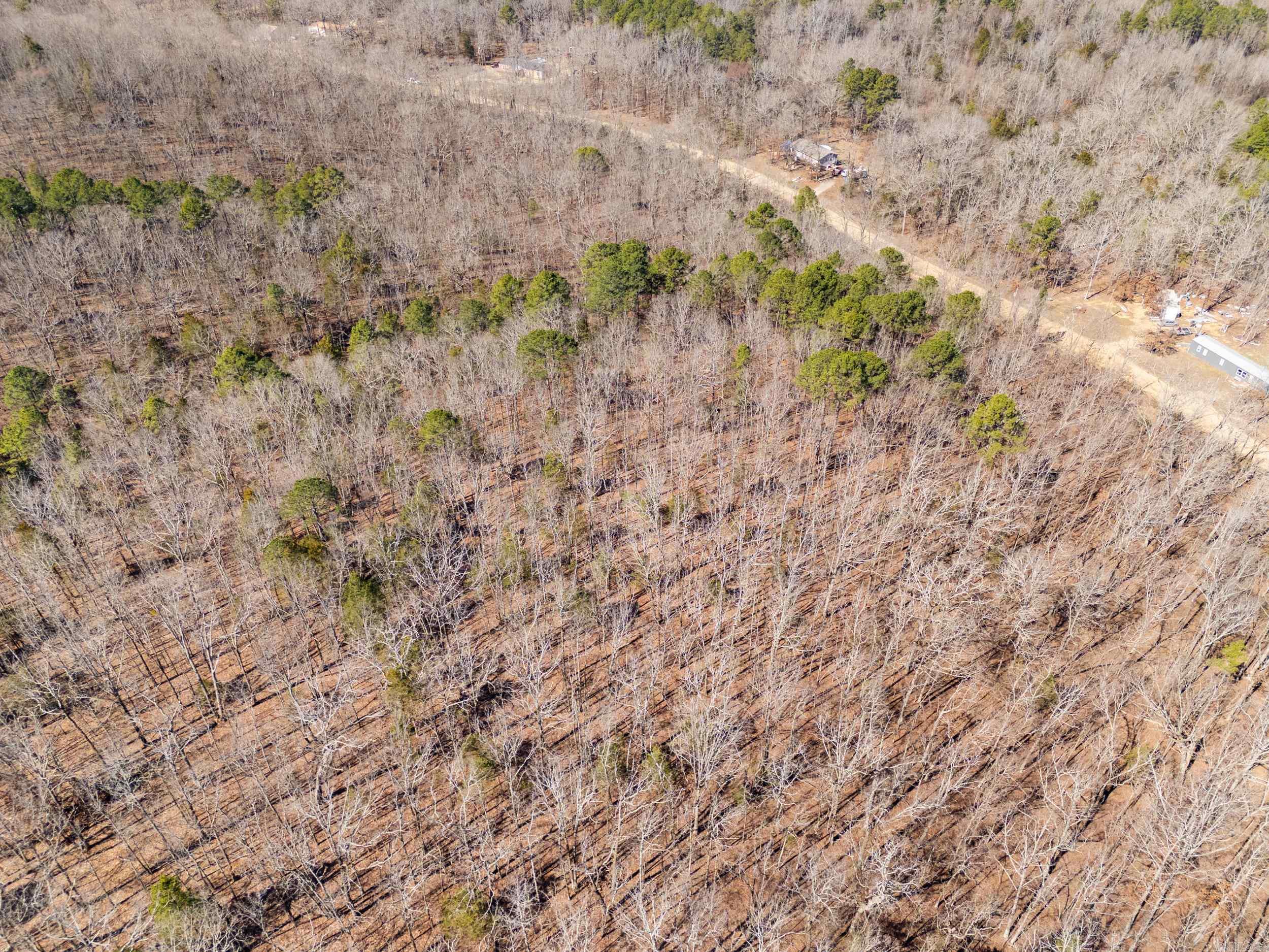 00 Anna Marie  Springfield, AR