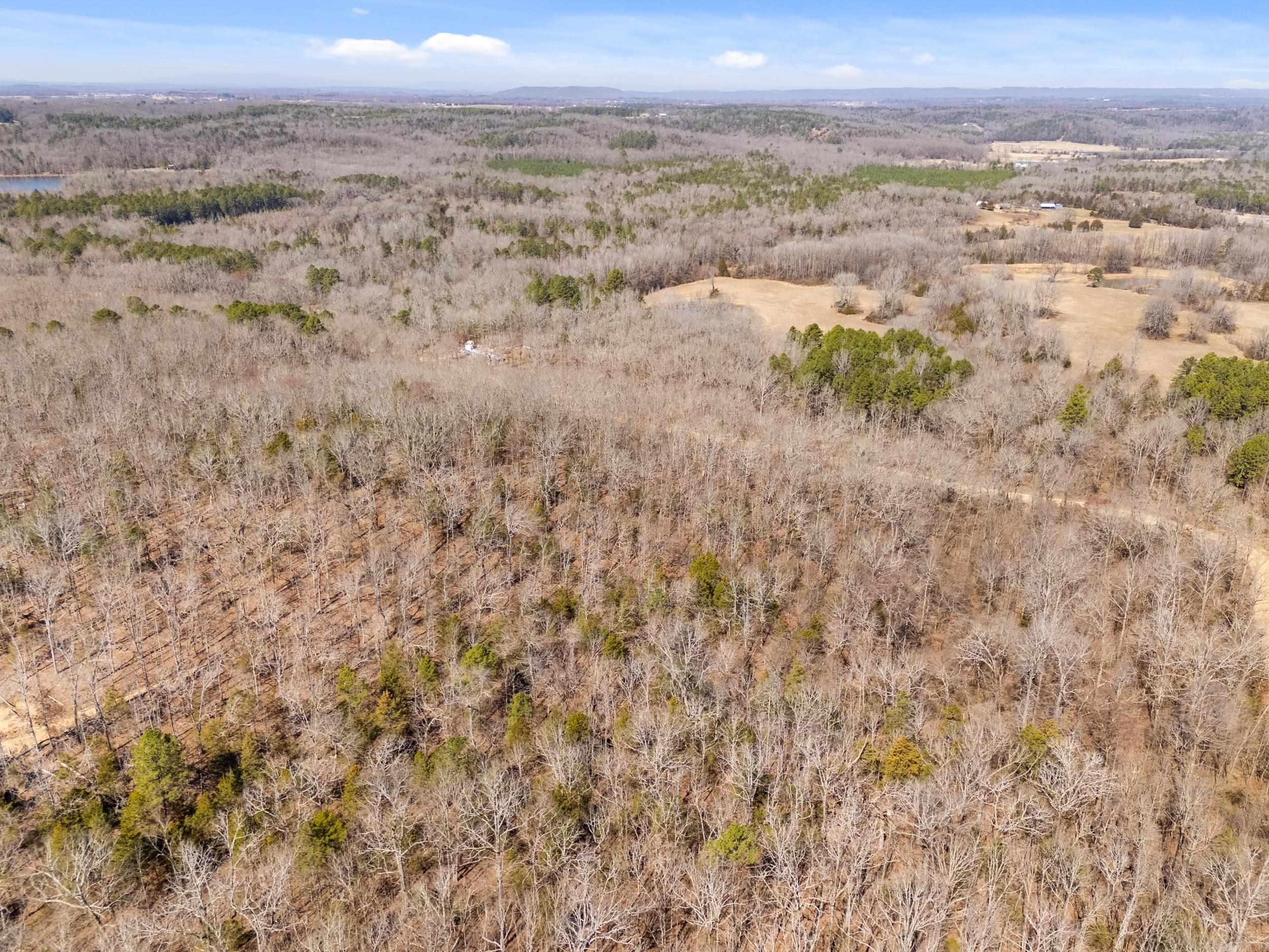 00 Anna Marie  Springfield, AR