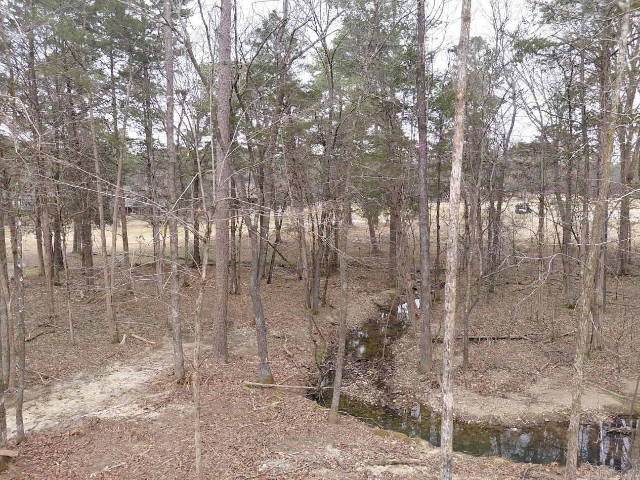 7 Sergio Way  Hot Springs Village, AR