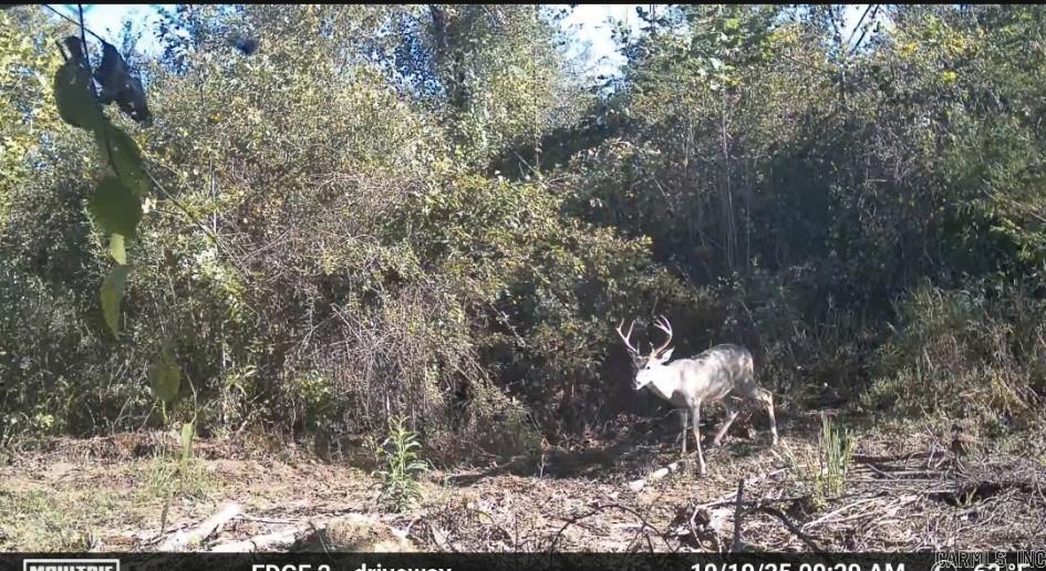 1413 S Wilmar  Wilmar, AR