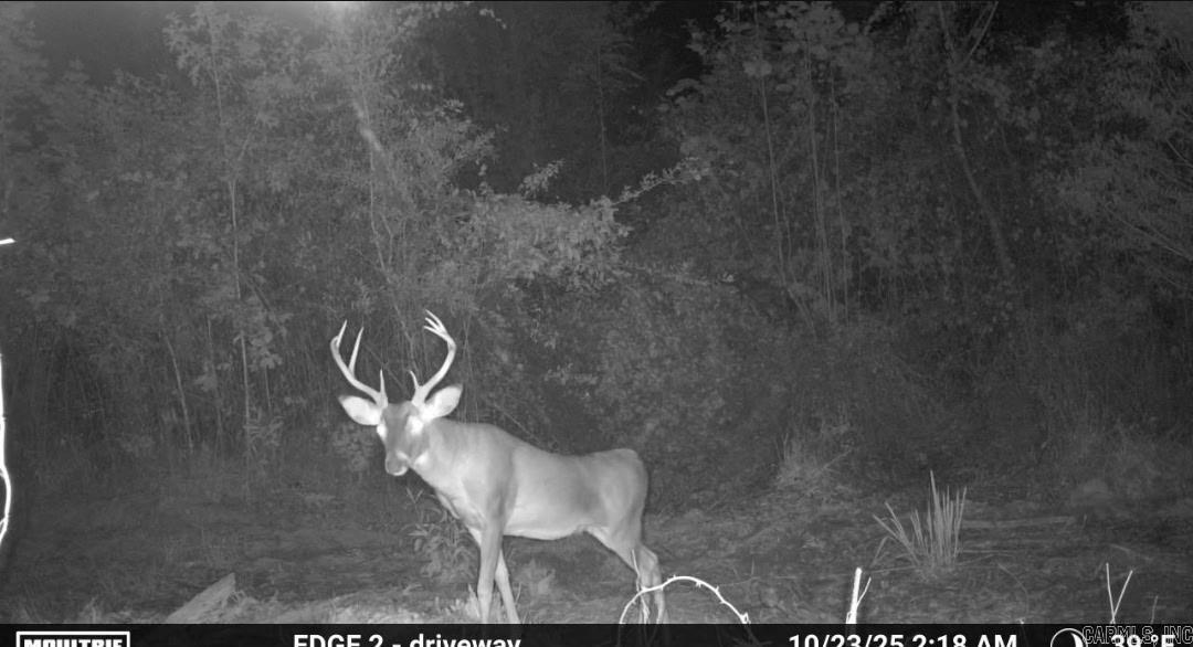 1413 S Wilmar  Wilmar, AR