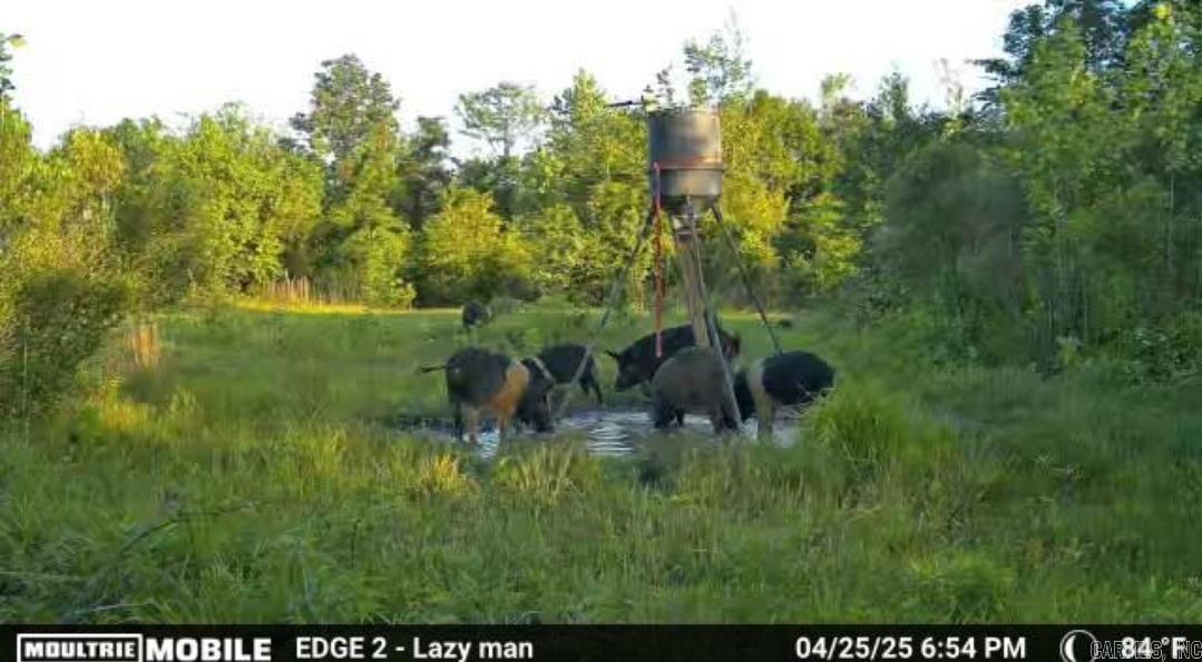 1413 S Wilmar  Wilmar, AR