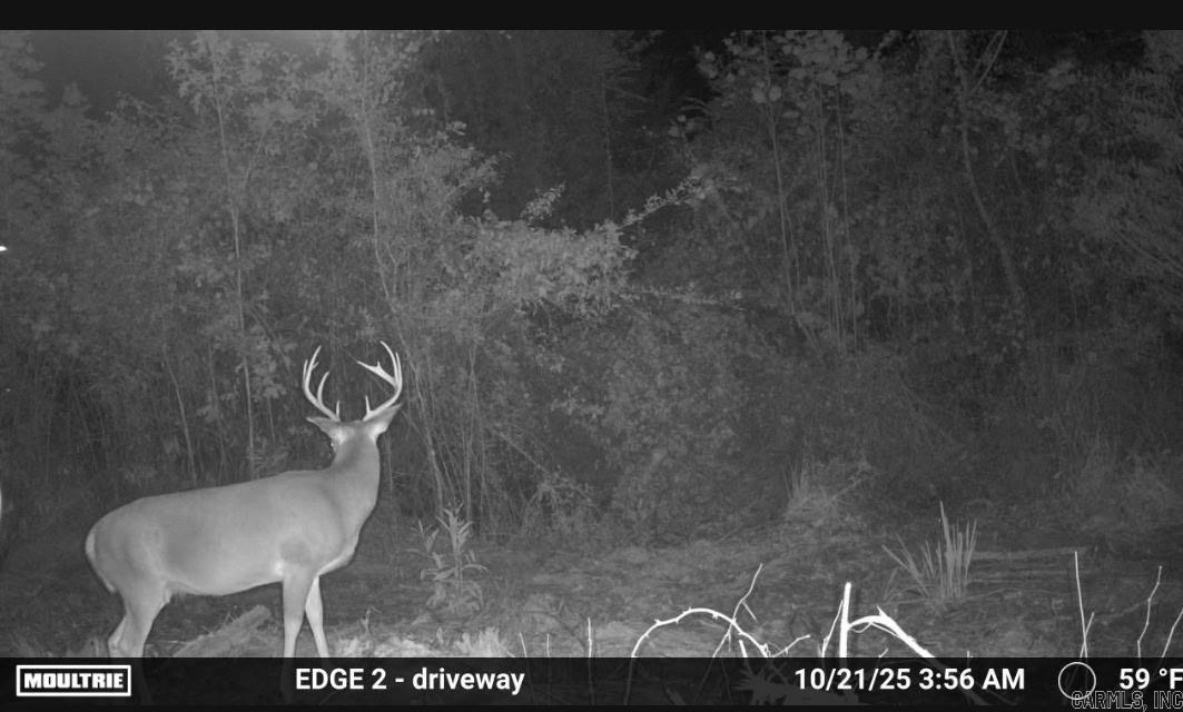 1413 S Wilmar  Wilmar, AR