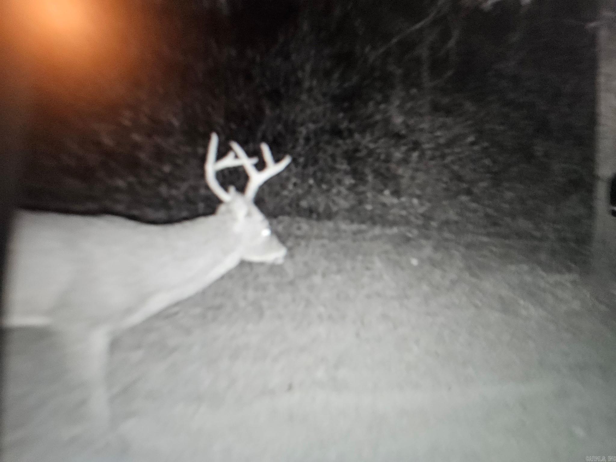 1413 S Wilmar  Wilmar, AR