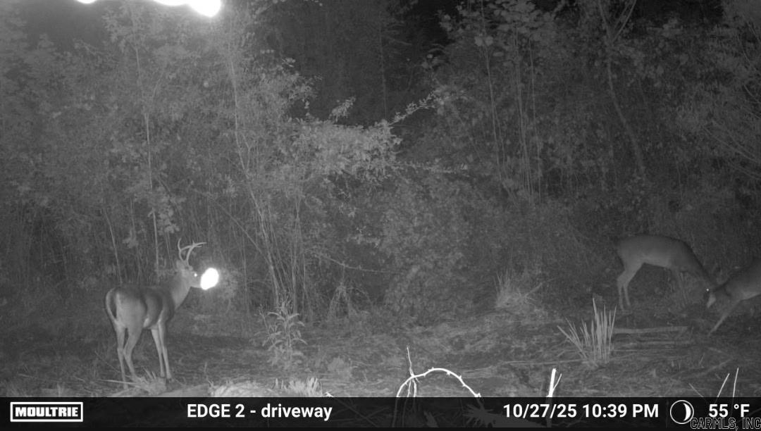 1413 S Wilmar  Wilmar, AR