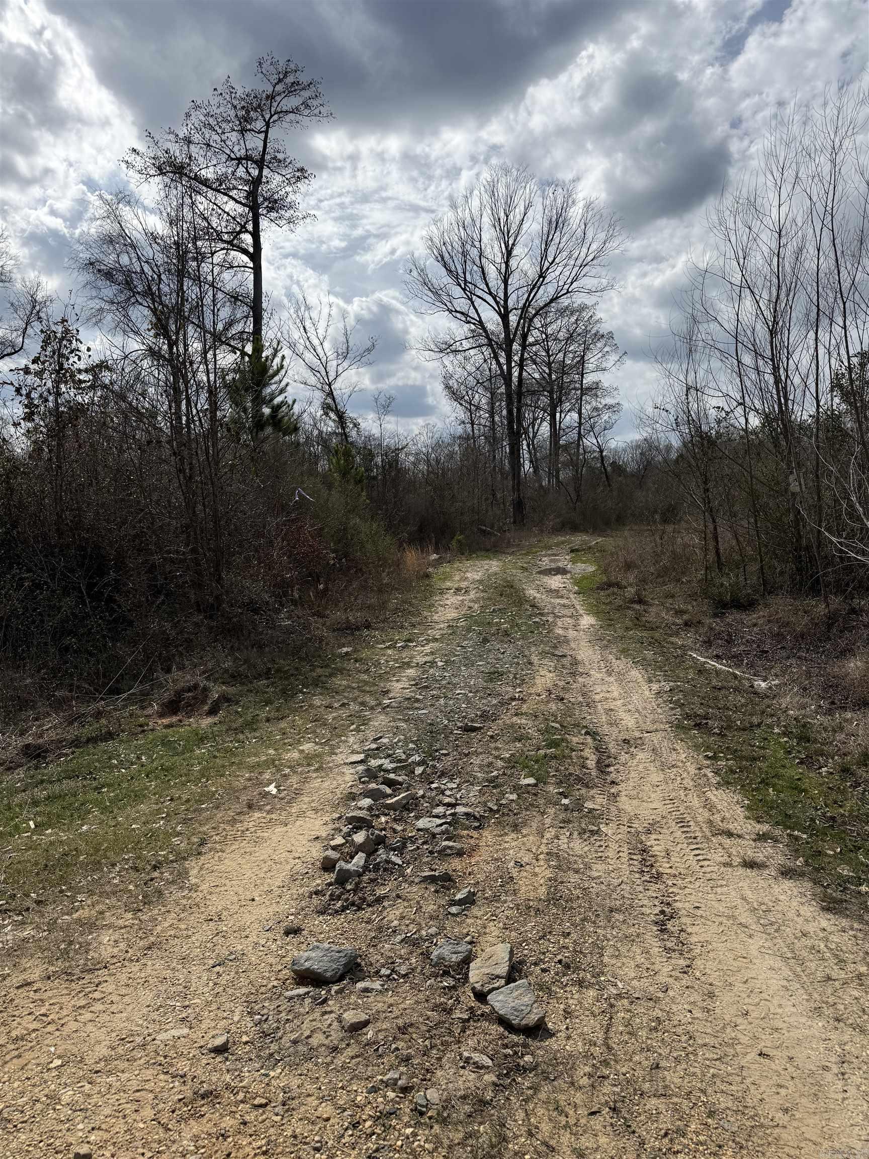 1413 S Wilmar  Wilmar, AR