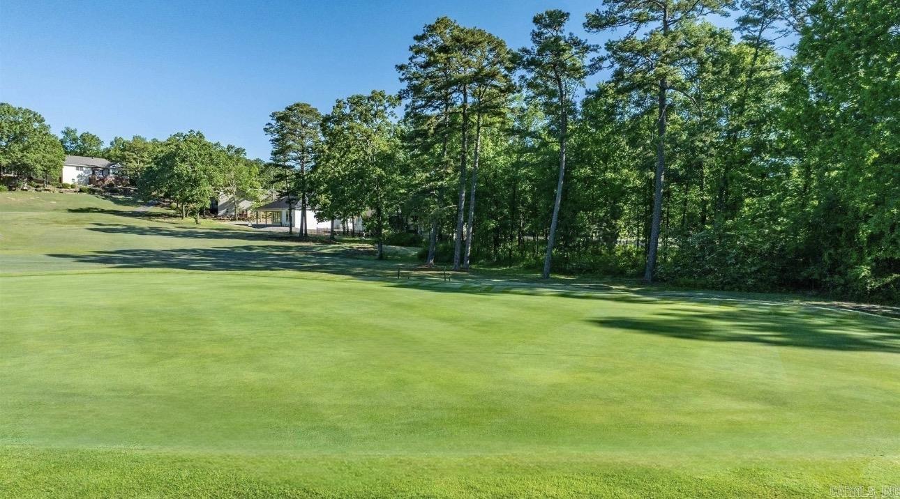 24 Zarina Lane Hot Springs Village, AR 71909