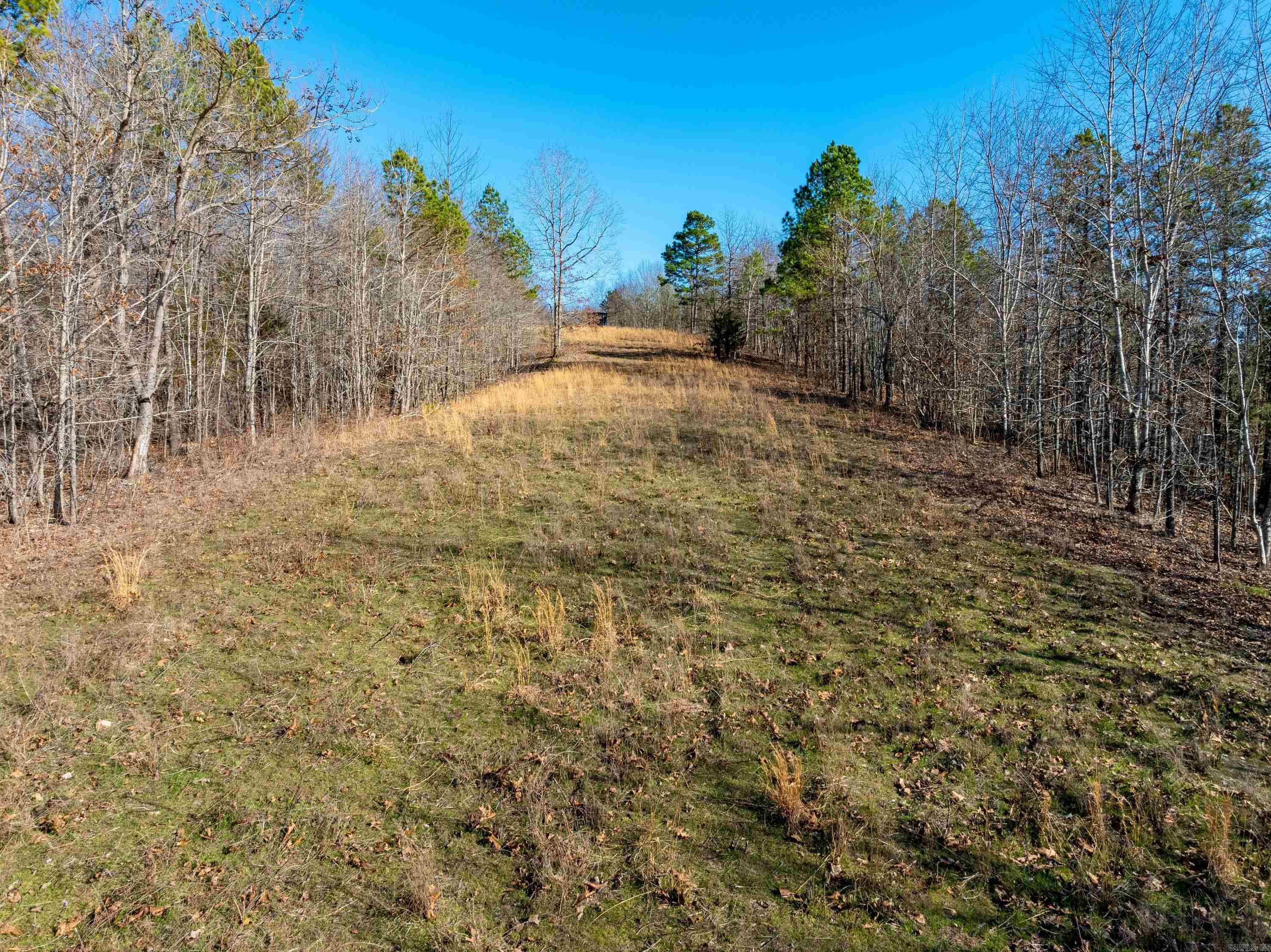  Collistown Rd  Cushman, AR