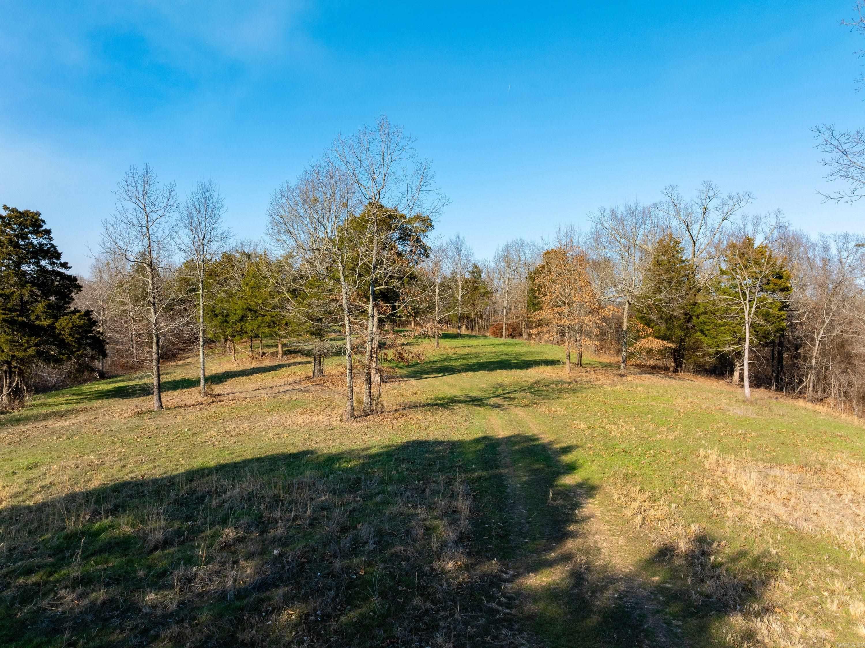  Collistown Rd  Cushman, AR