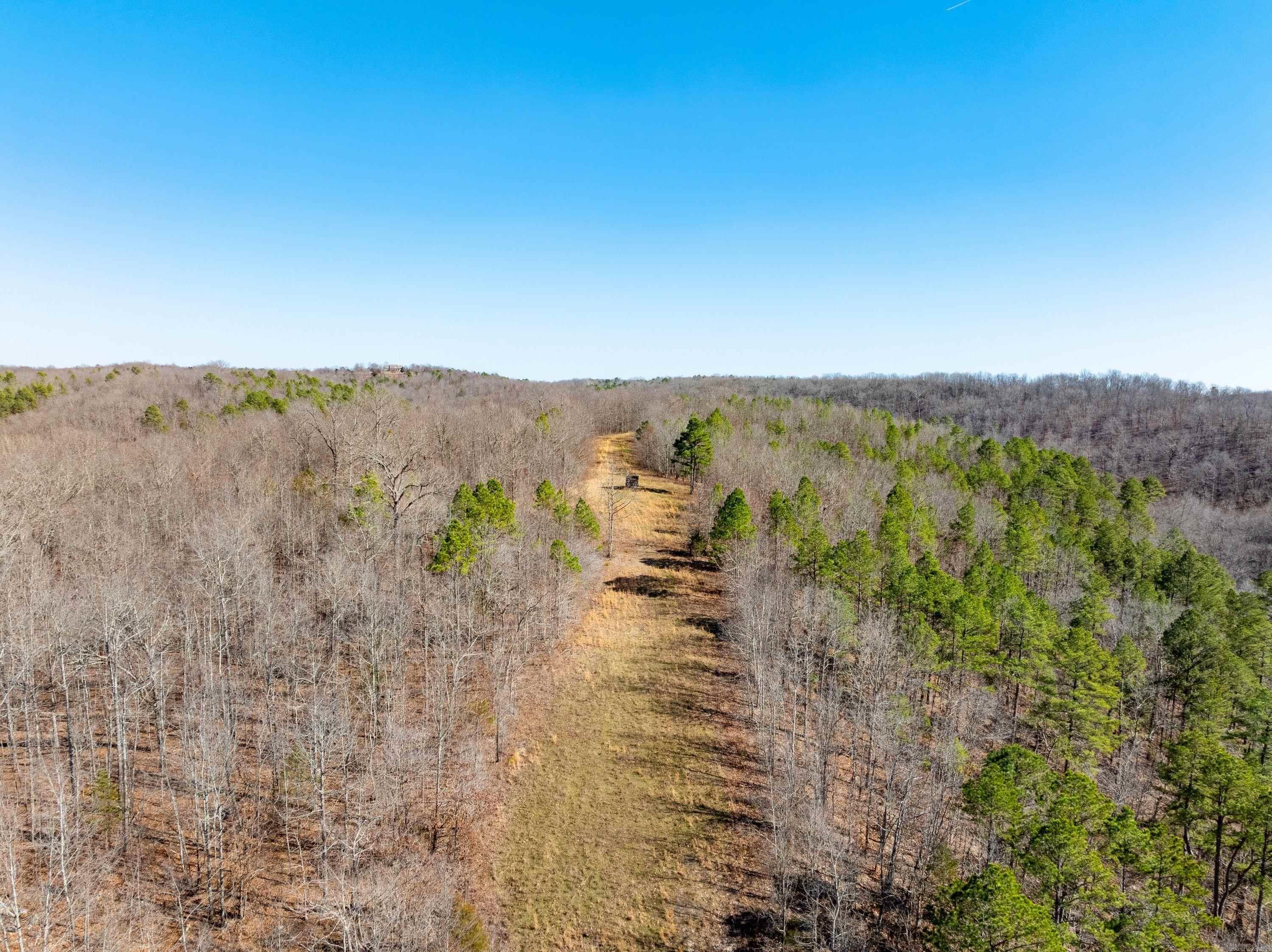  Collistown Rd  Cushman, AR