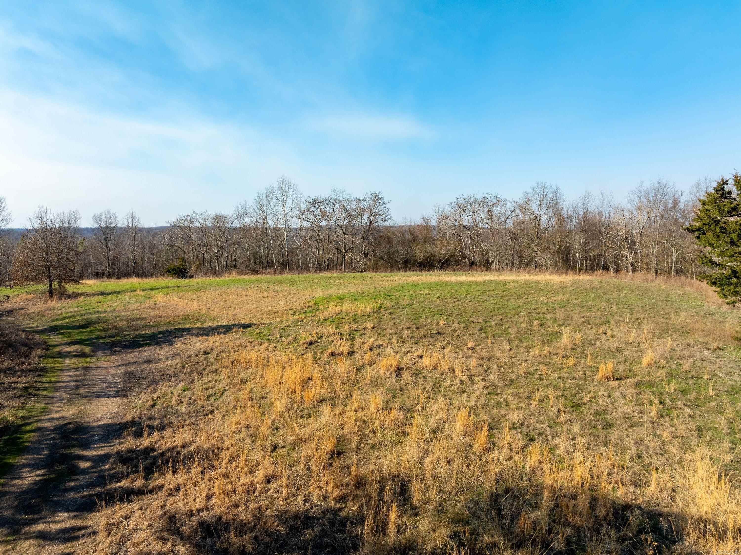  Collistown Rd  Cushman, AR