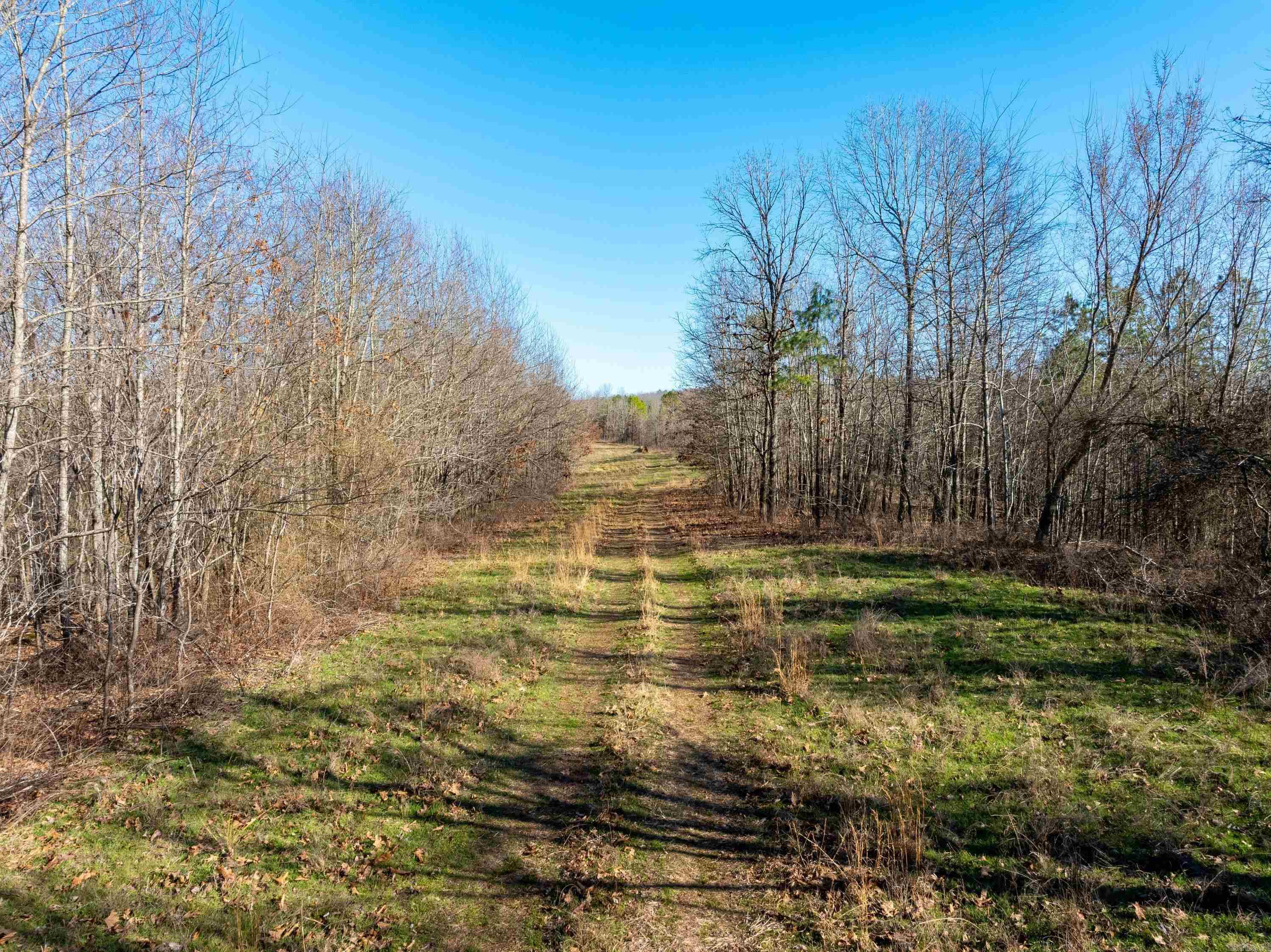  Collistown Rd  Cushman, AR