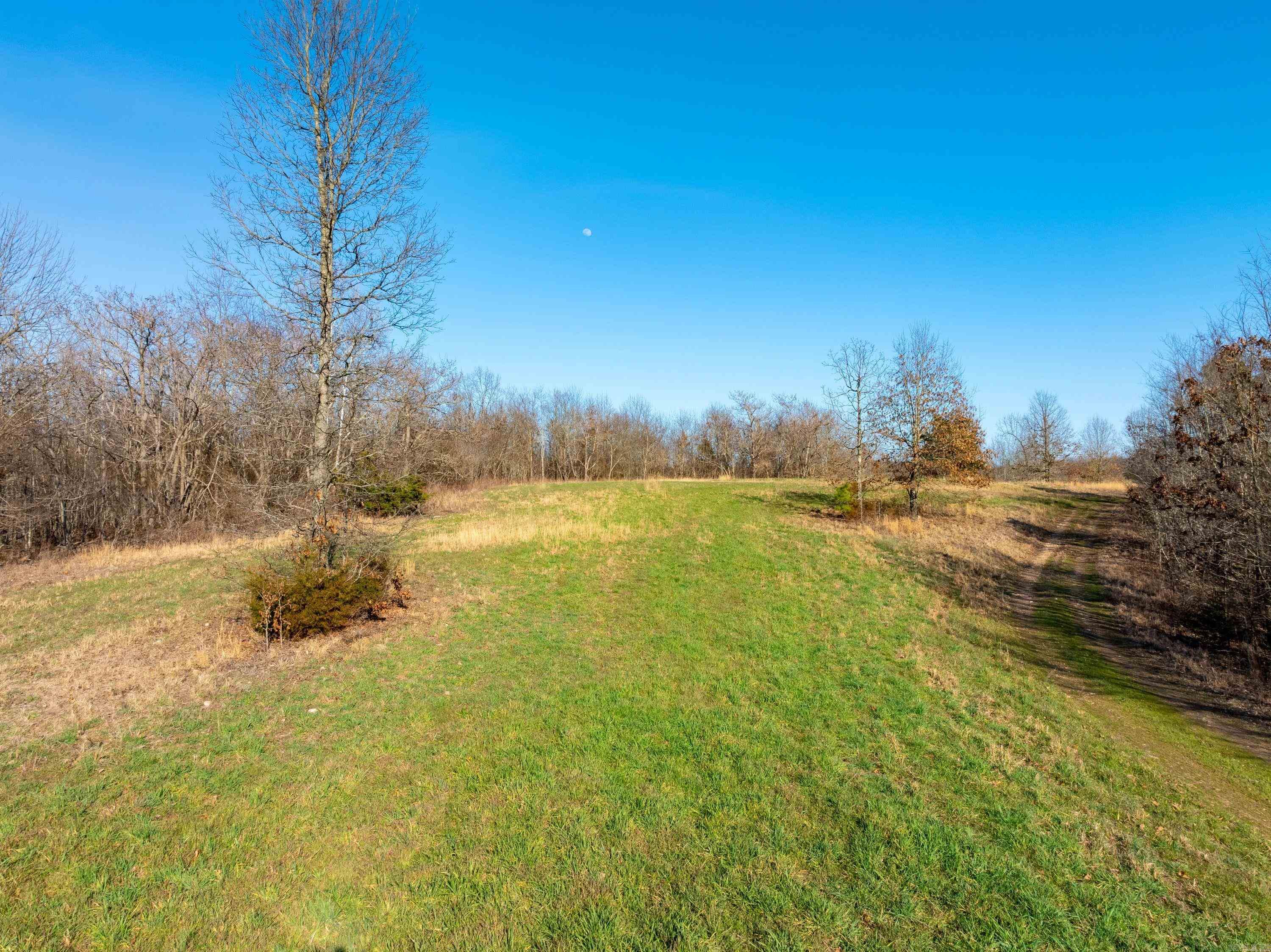  Collistown Rd  Cushman, AR