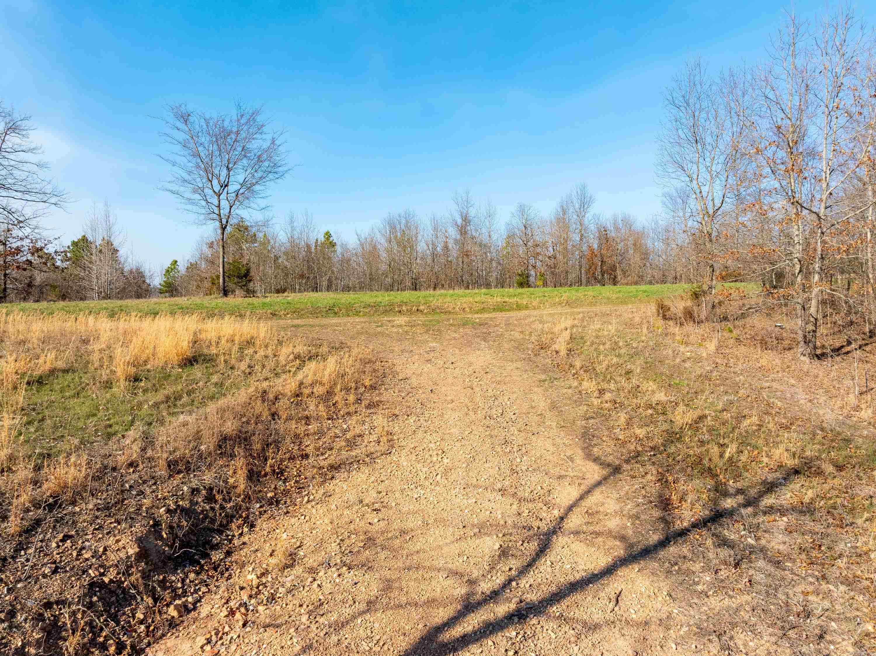  Collistown Rd  Cushman, AR