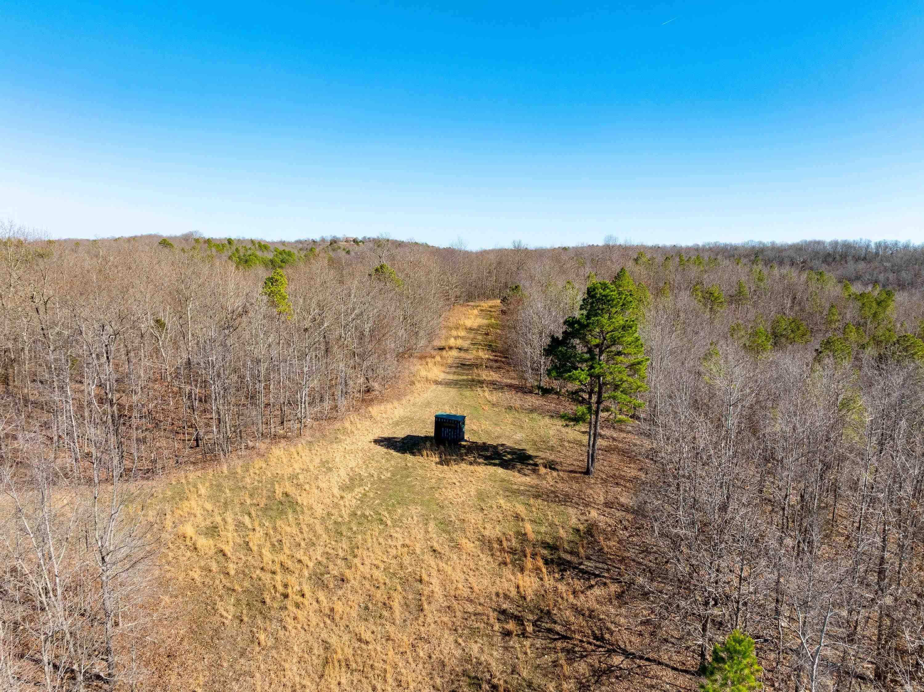  Collistown Rd  Cushman, AR