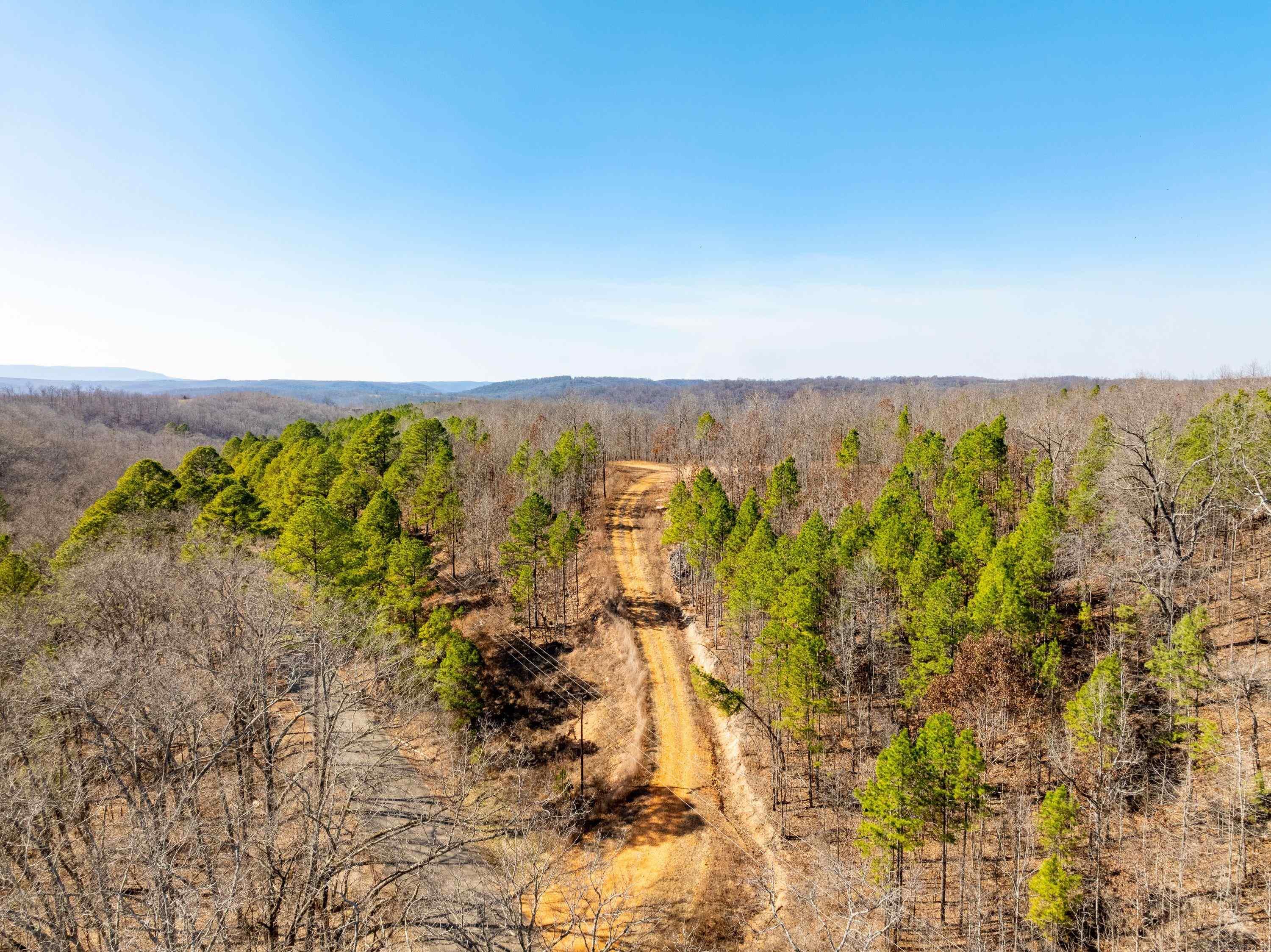  Collistown Rd  Cushman, AR