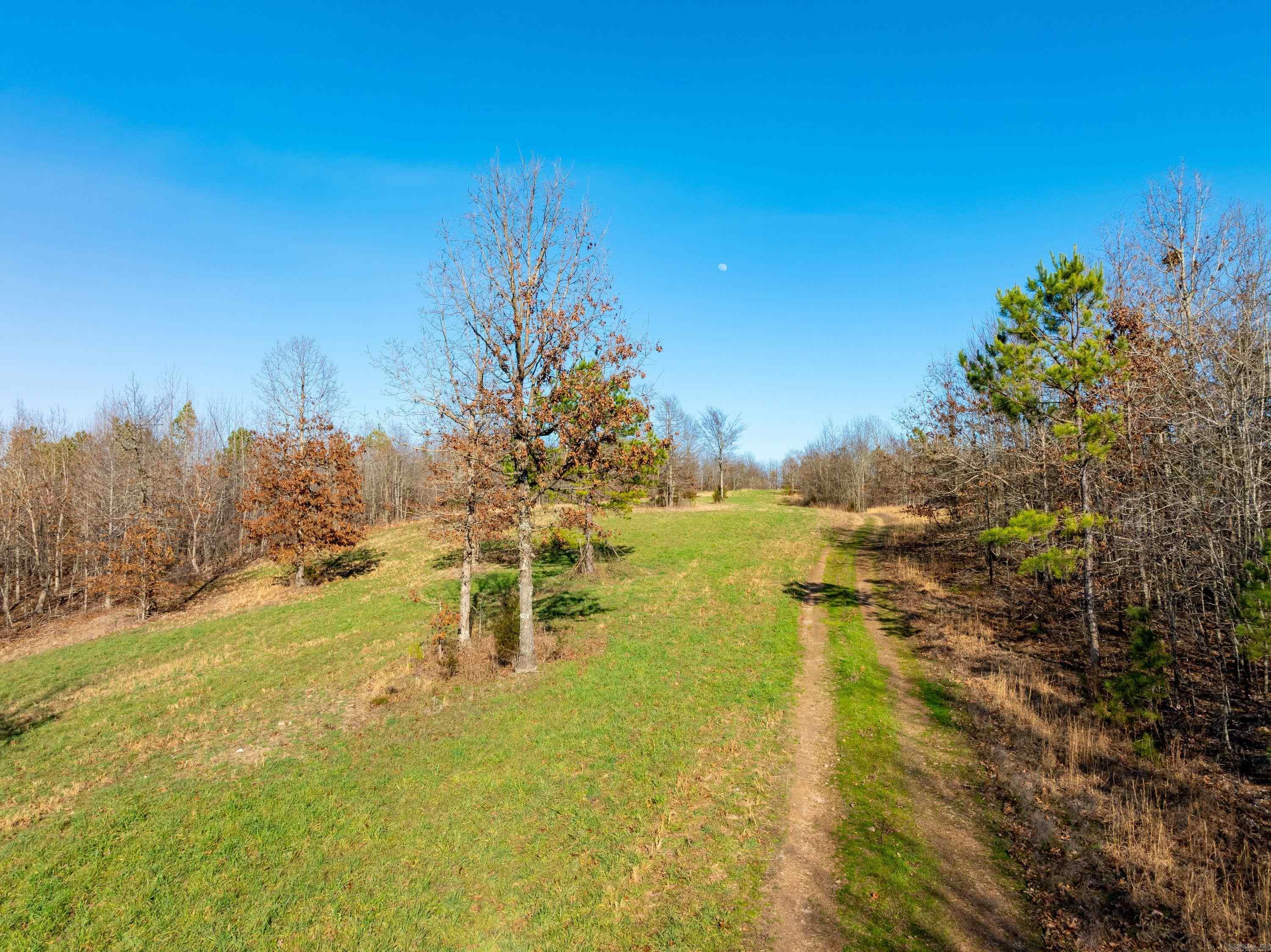  Collistown Rd  Cushman, AR