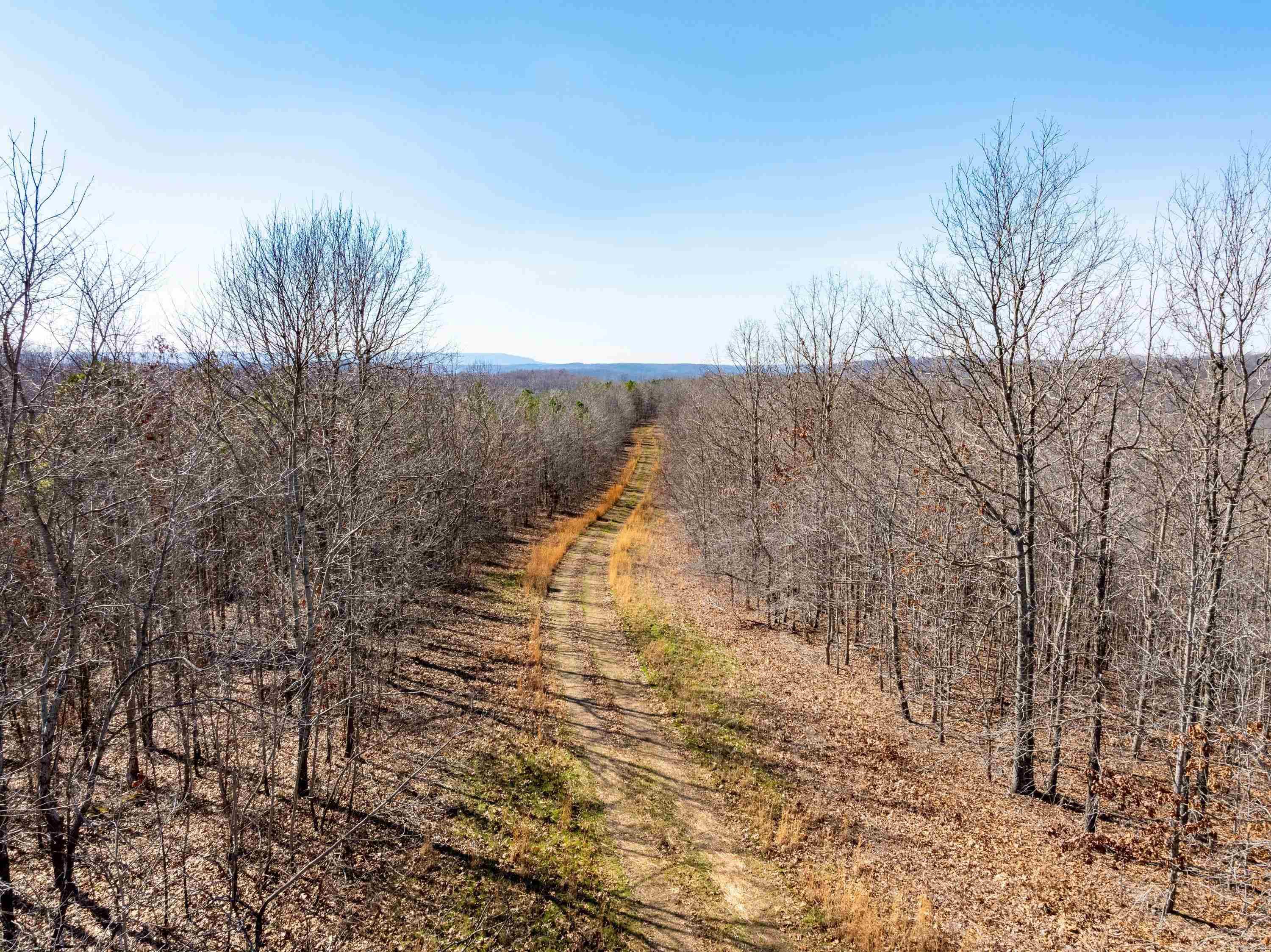  Collistown Rd  Cushman, AR