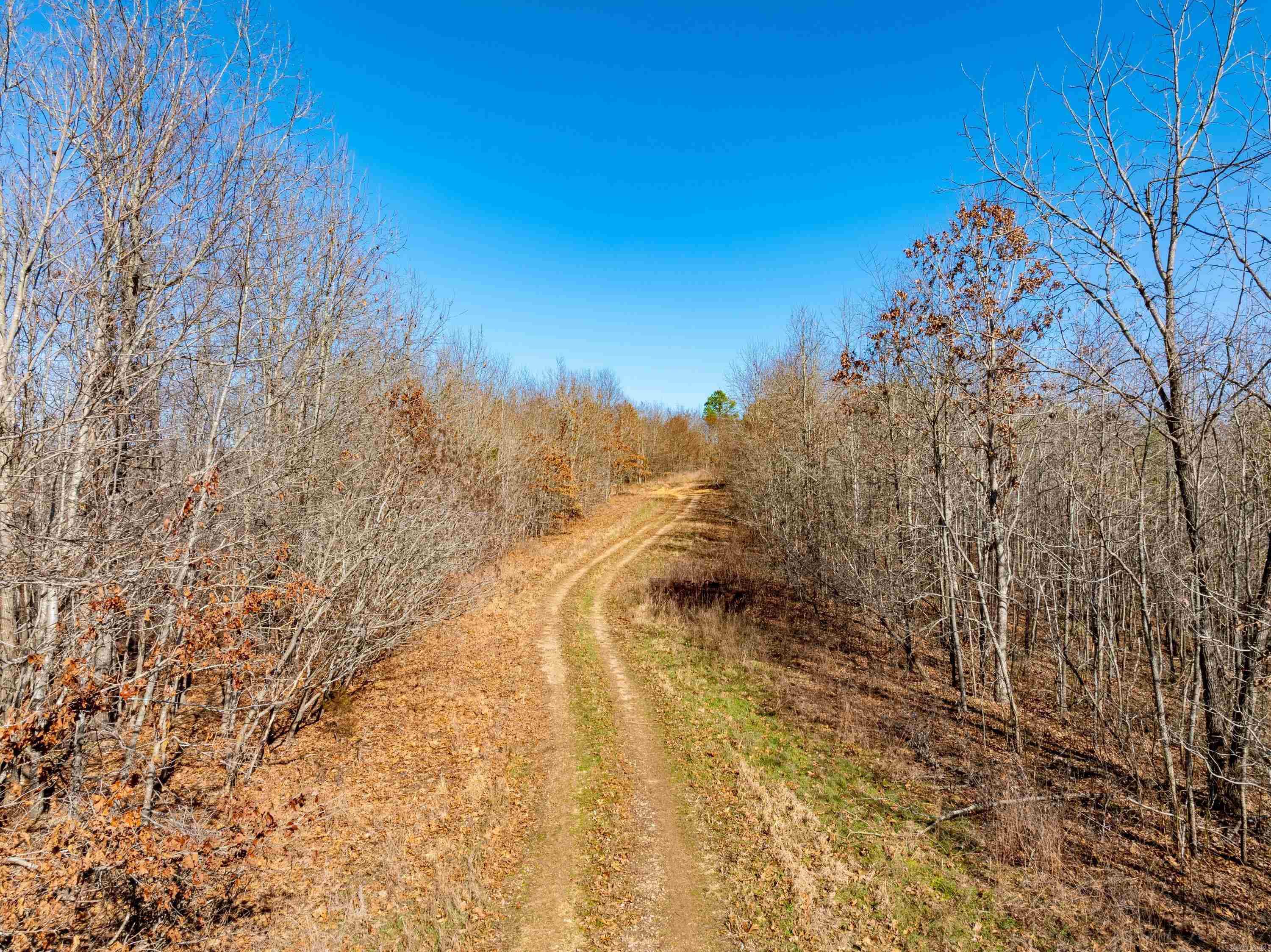  Collistown Rd  Cushman, AR