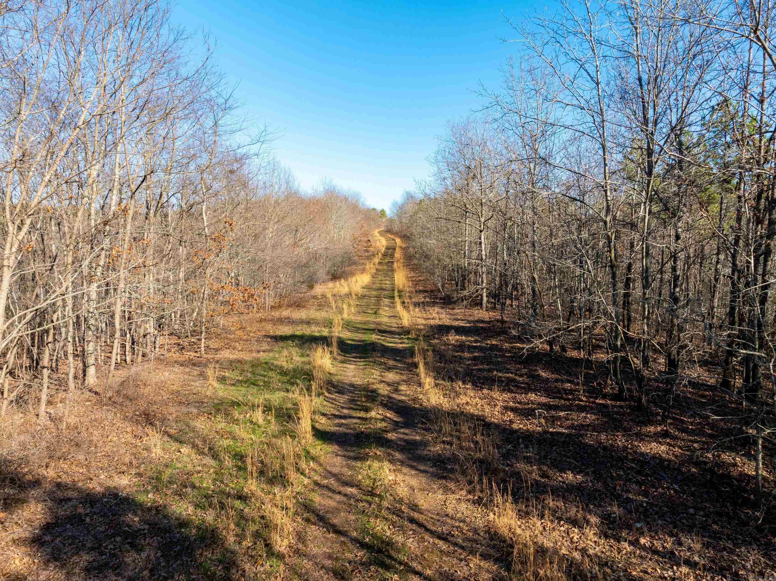  Collistown Rd  Cushman, AR