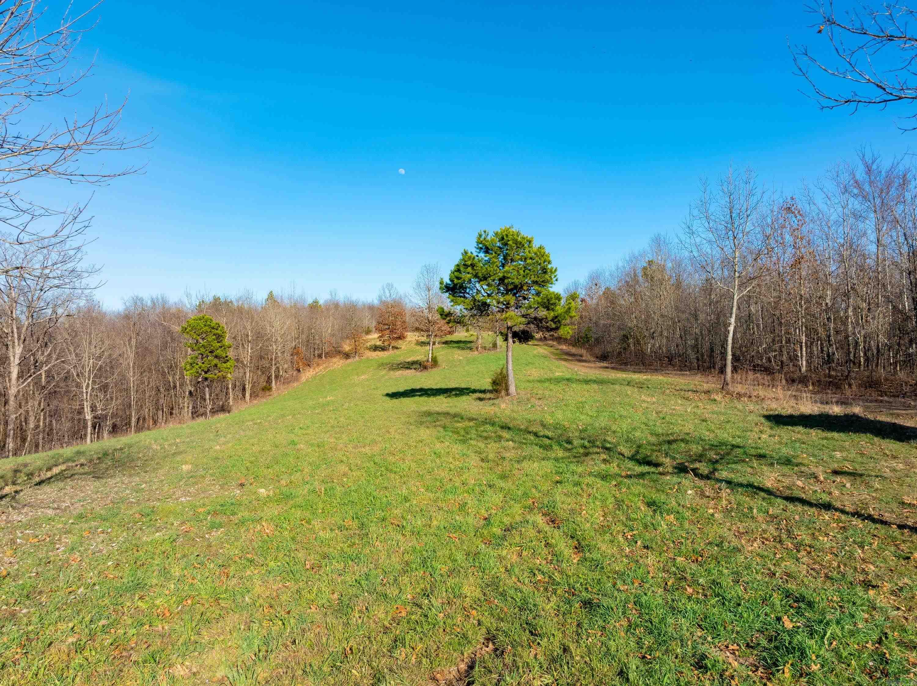  Collistown Rd  Cushman, AR