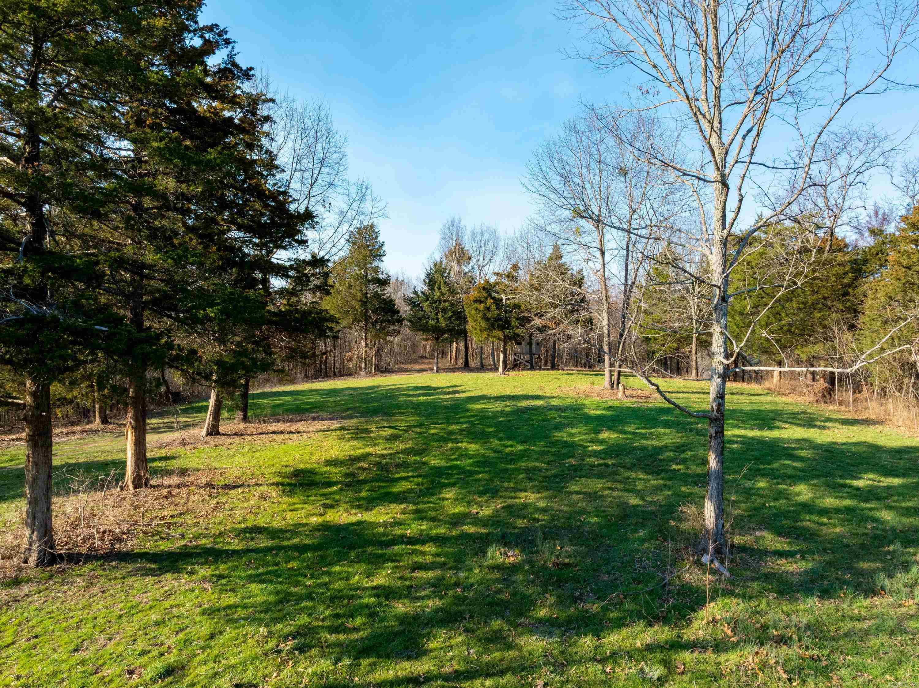  Collistown Rd  Cushman, AR